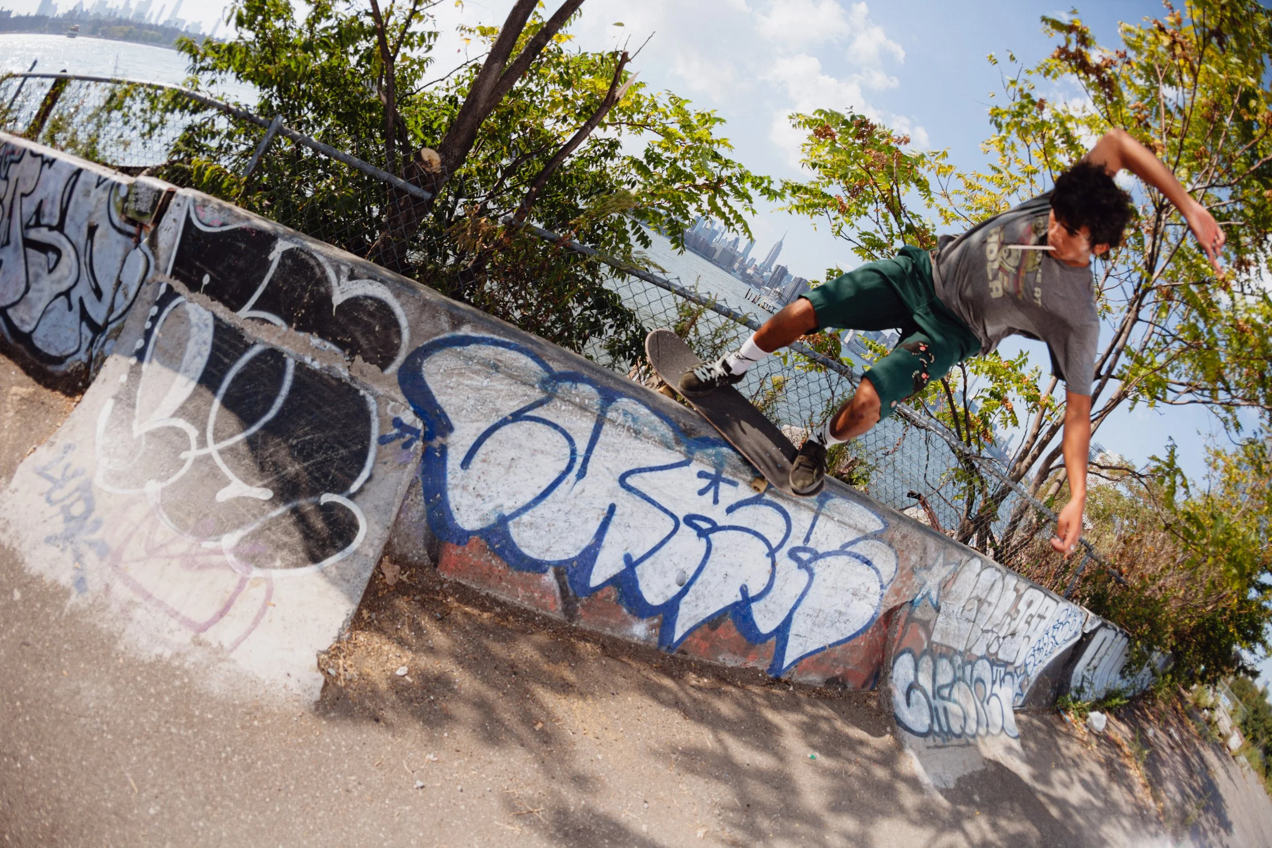 Pablo Goldberg - Feeble Fakie