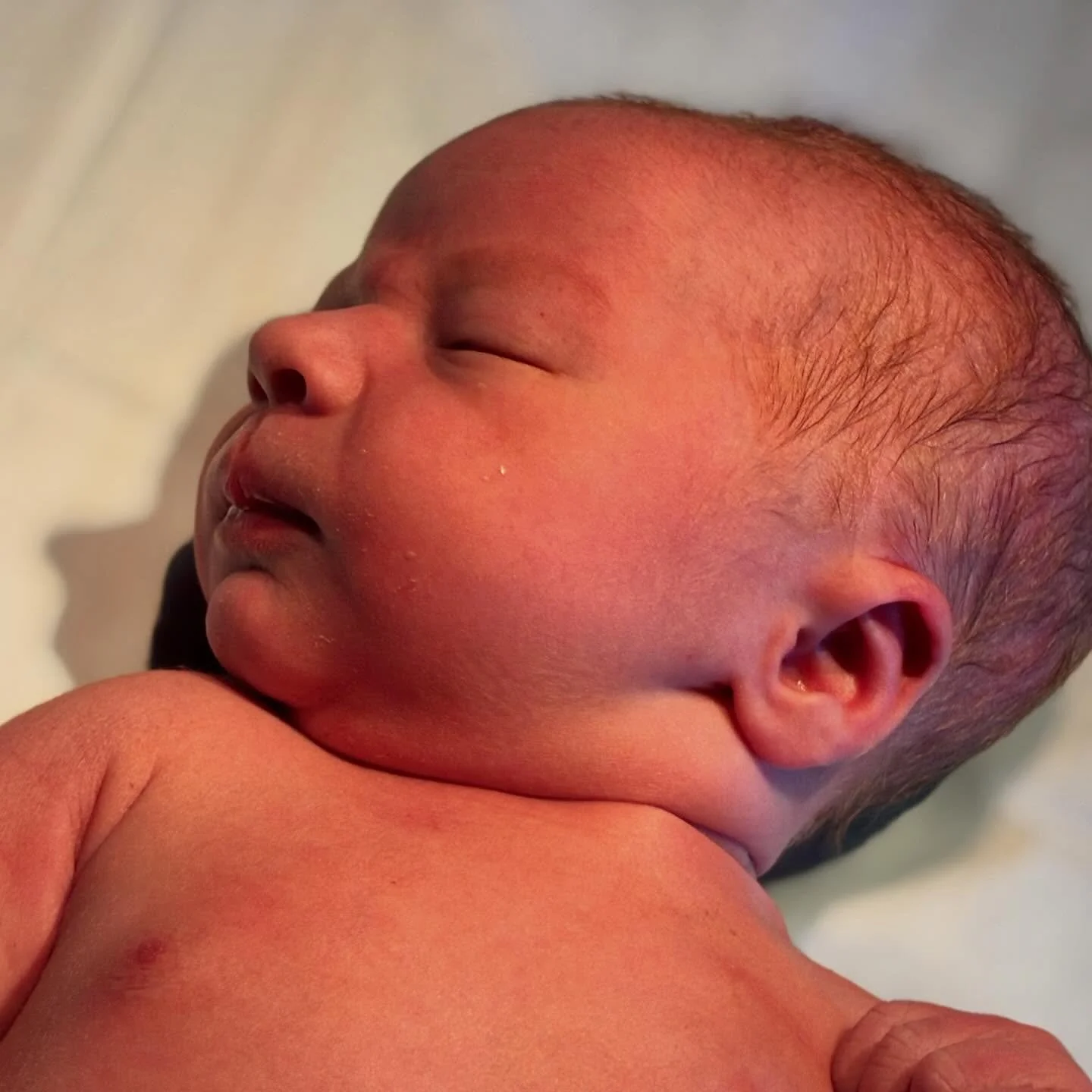 Ginger baby sweetness