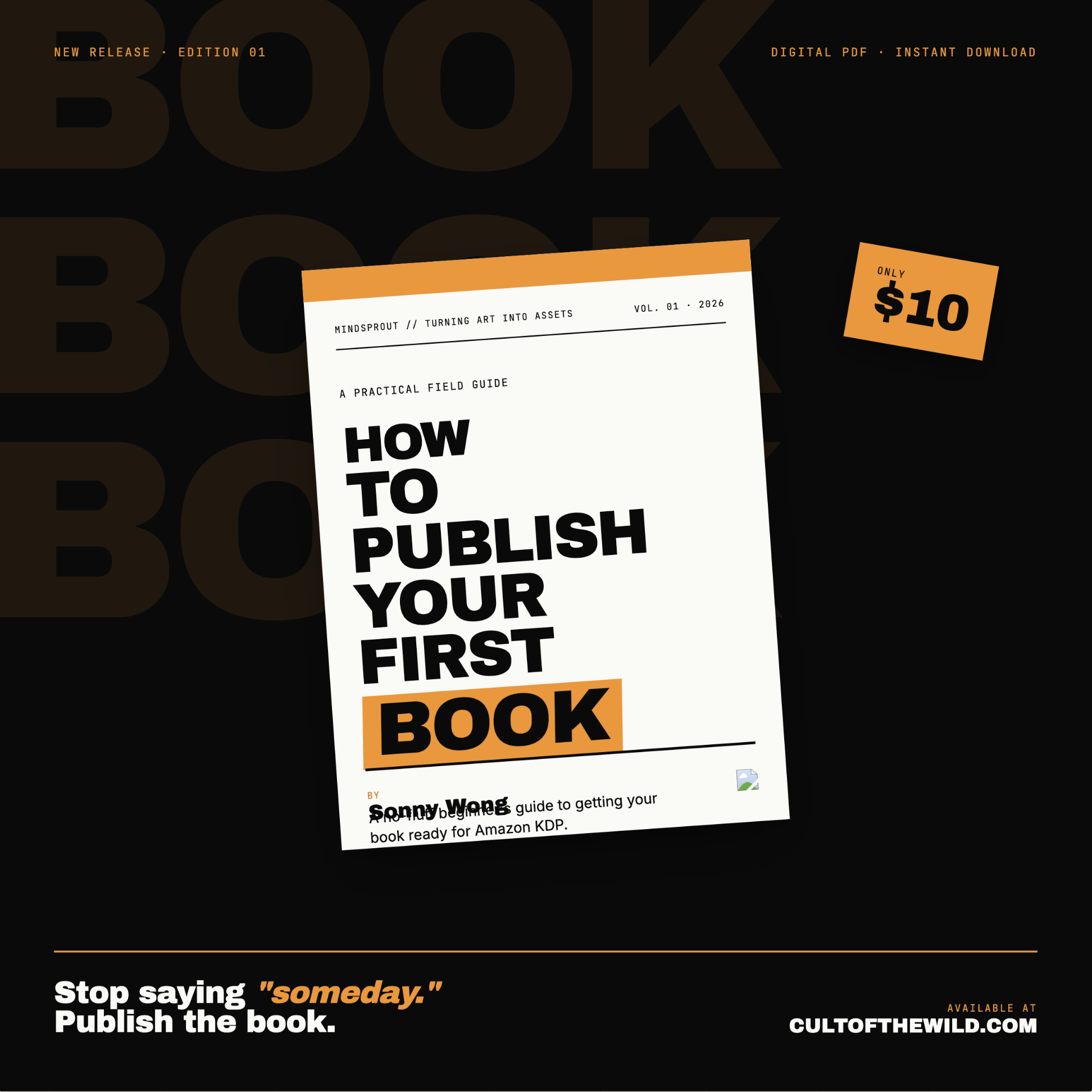 How to Publish Your First Book