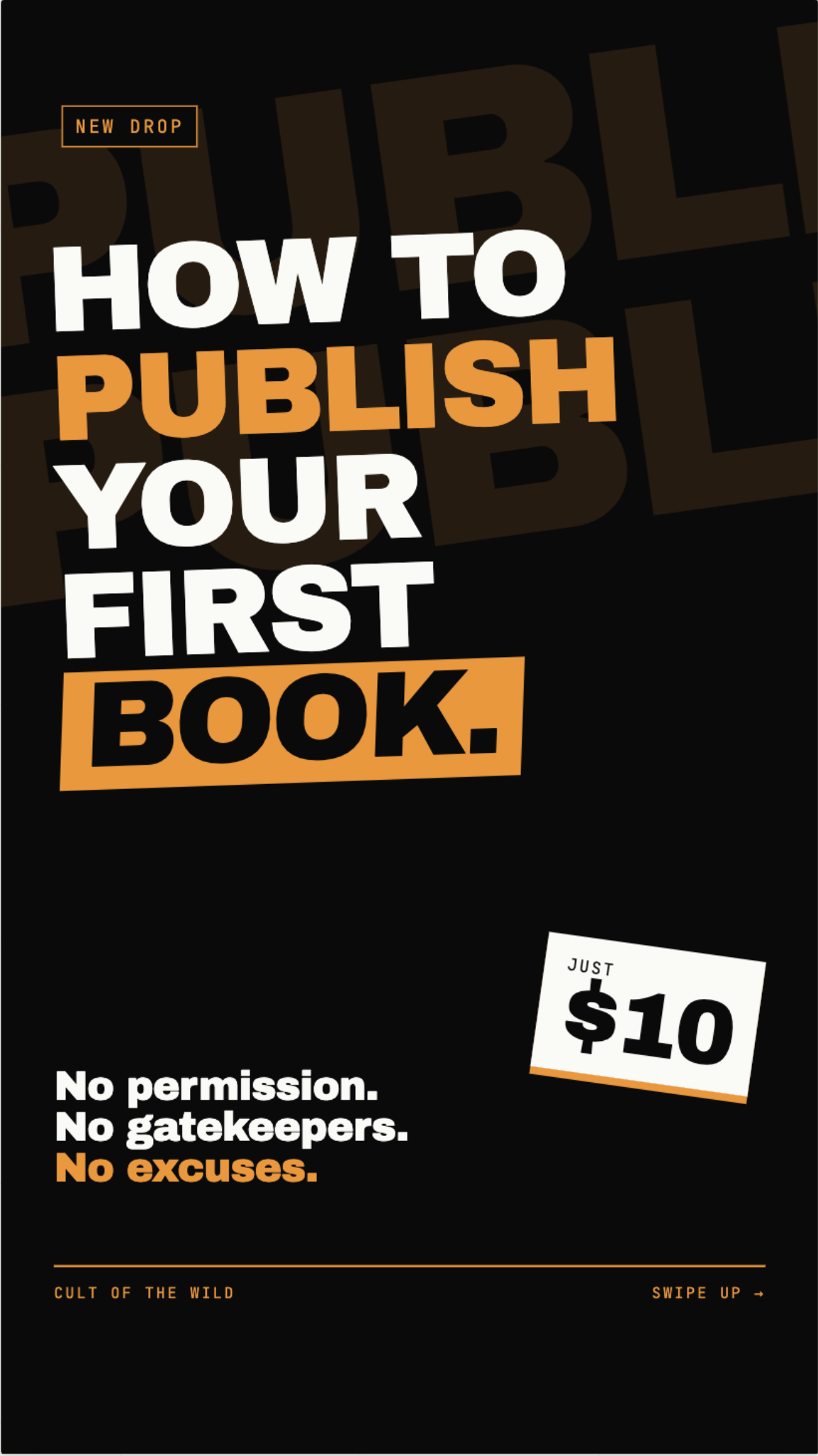How to Publish Your First Book (PDF download 100+ pages)
