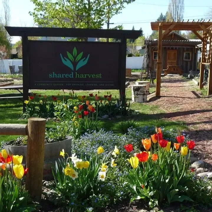 Fall Family Fun Fair at Shared Harvest Community Garden