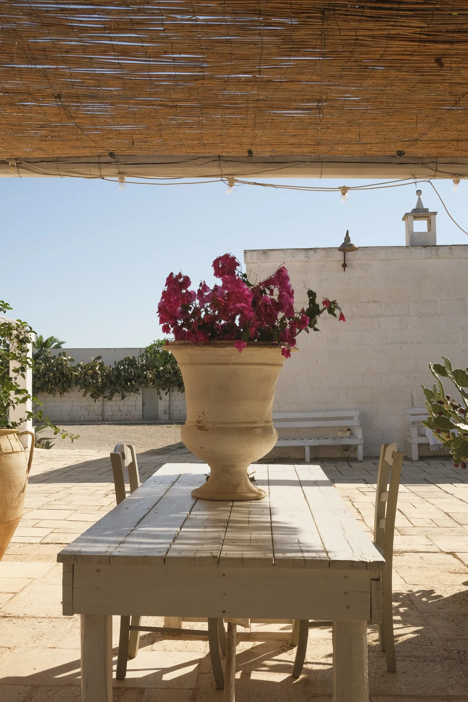 masseria-italy-sunny-day-bougainvillea.jpg