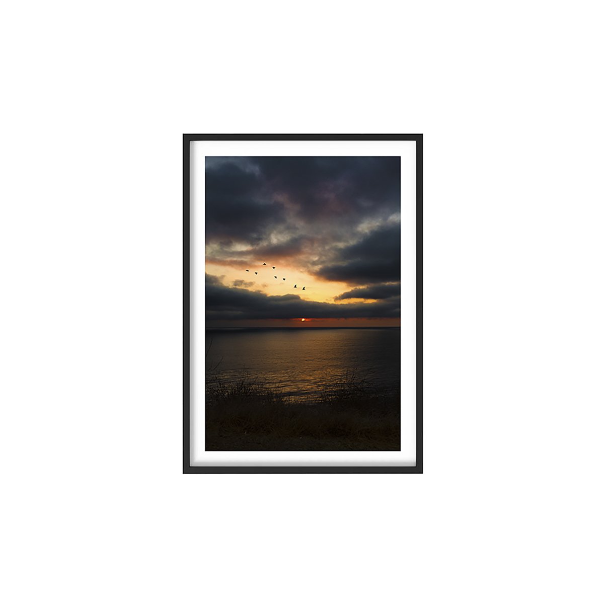 Untitled-1.jpg