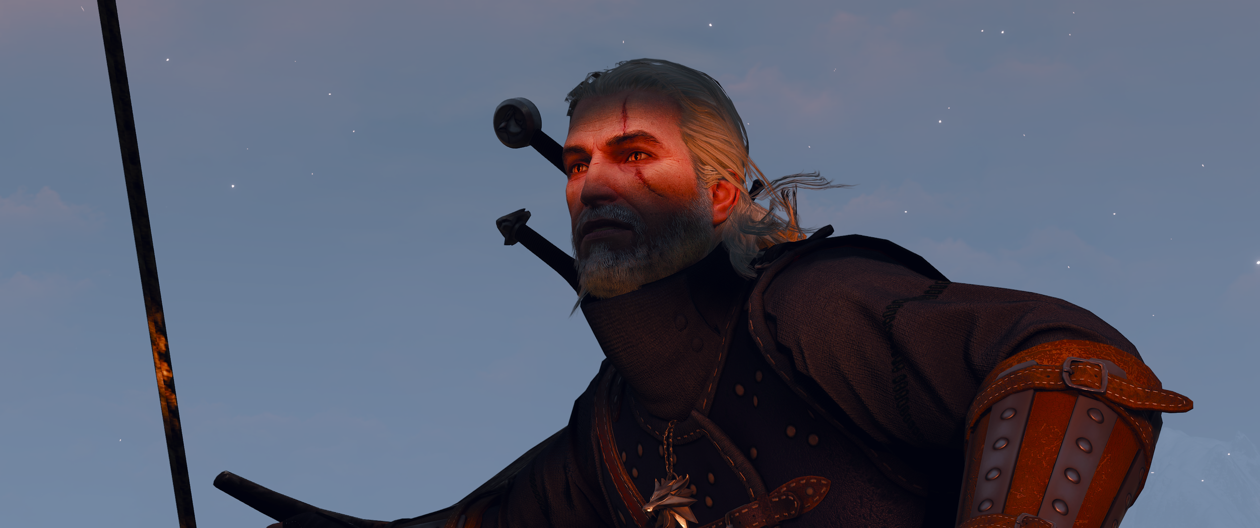 The Witcher