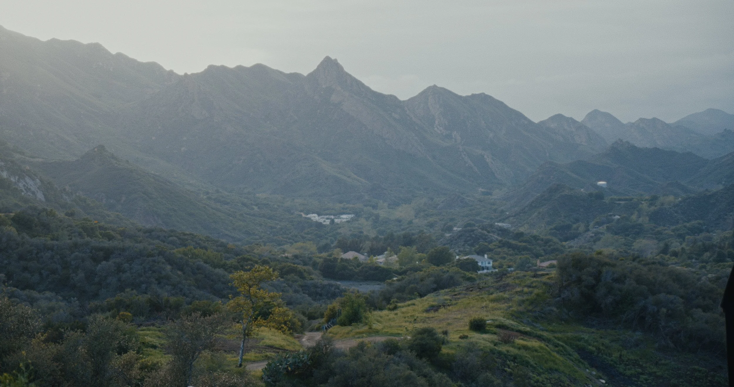 Still 2025-04-16 225356_1.44.1.jpg