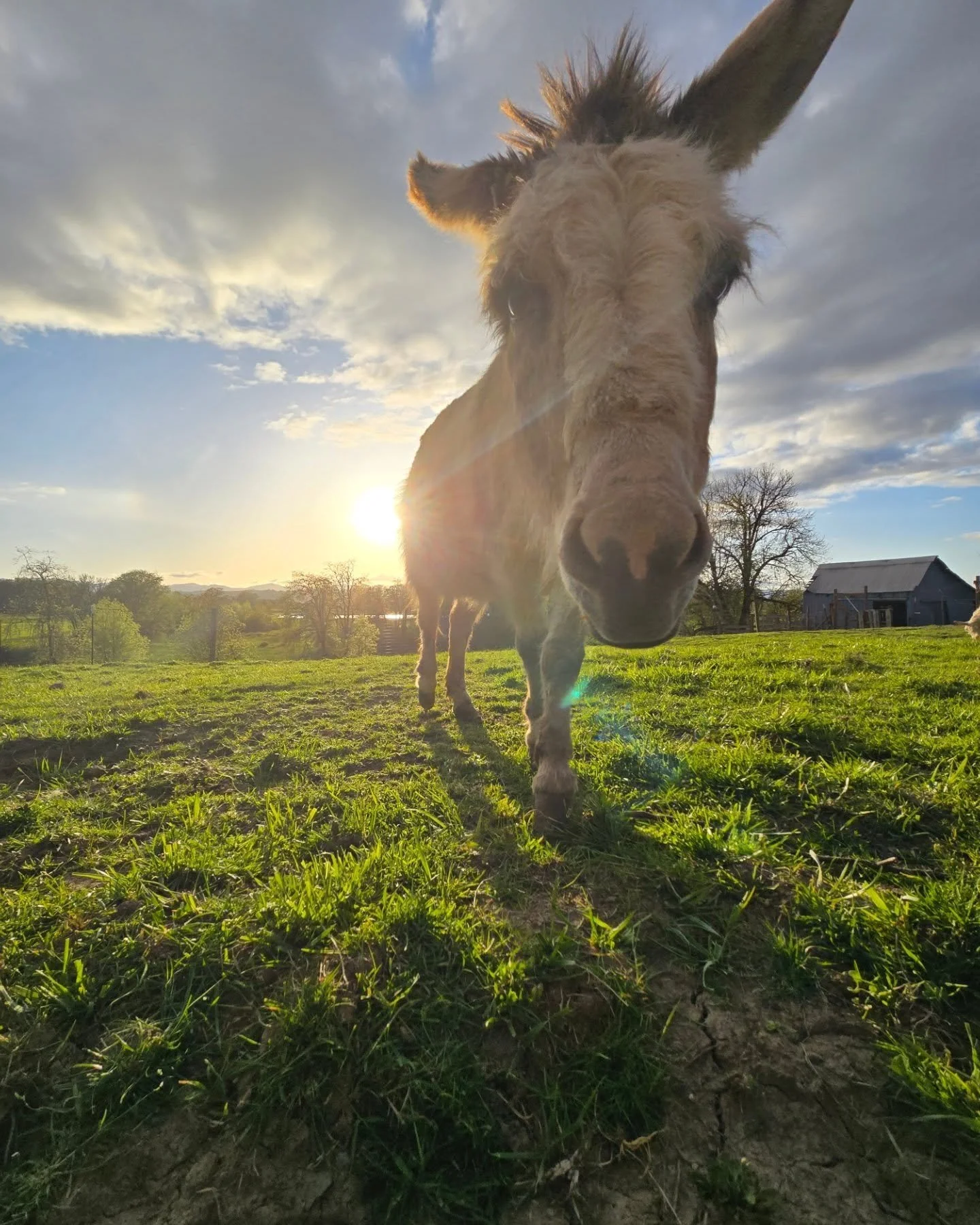 Oak Creek Family Farm Membership Perks
