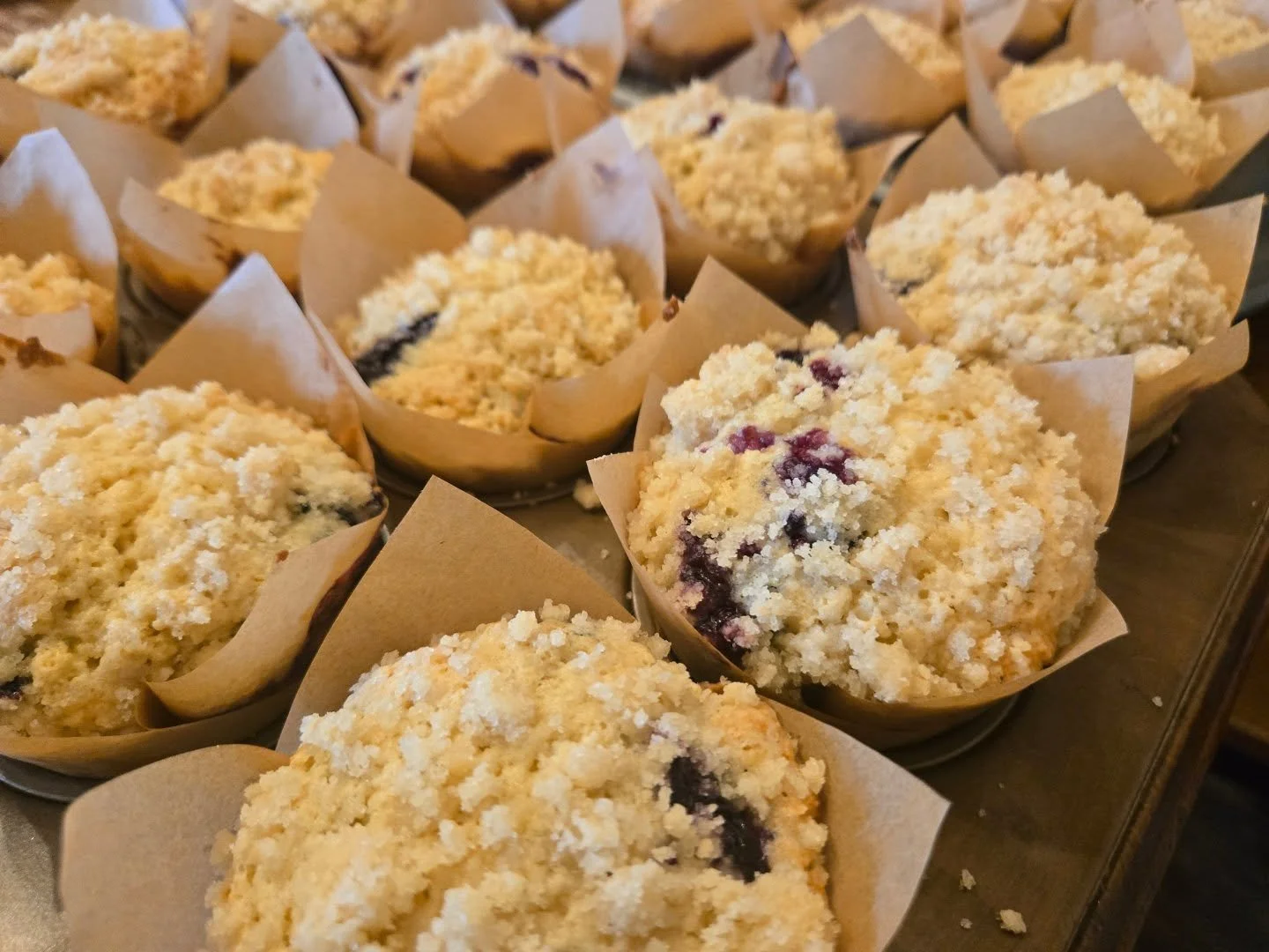 Lemon Blueberry Sourdough Muffins