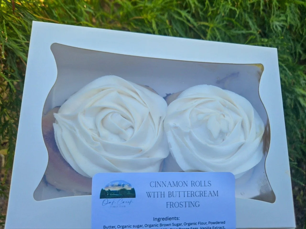 2 Cinnamon Rolls with Butter Cream Frosting