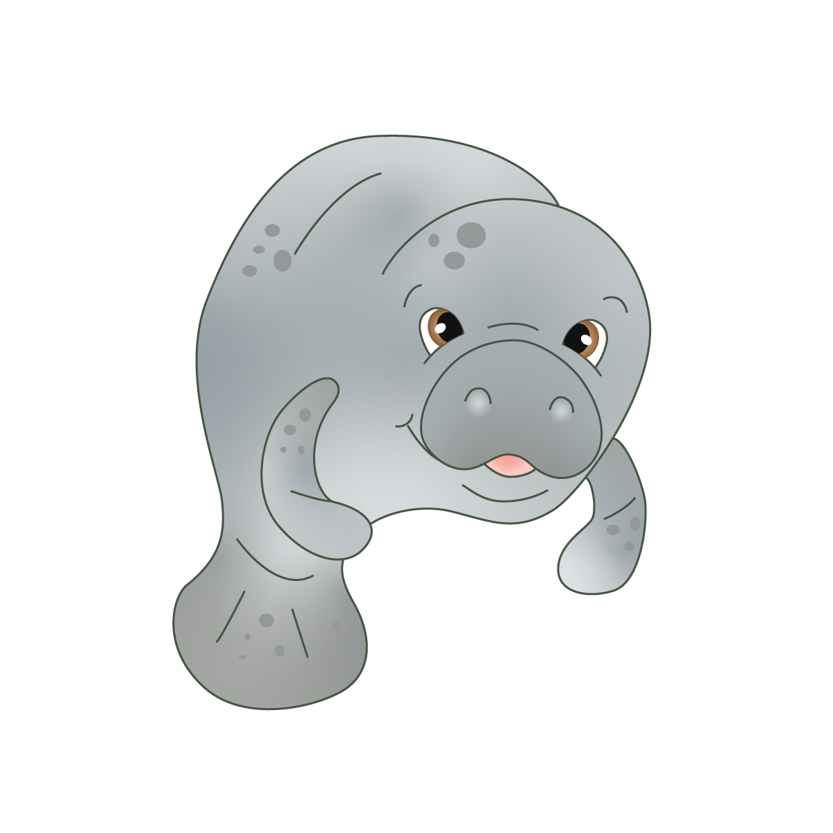 Gus-Manatee.png