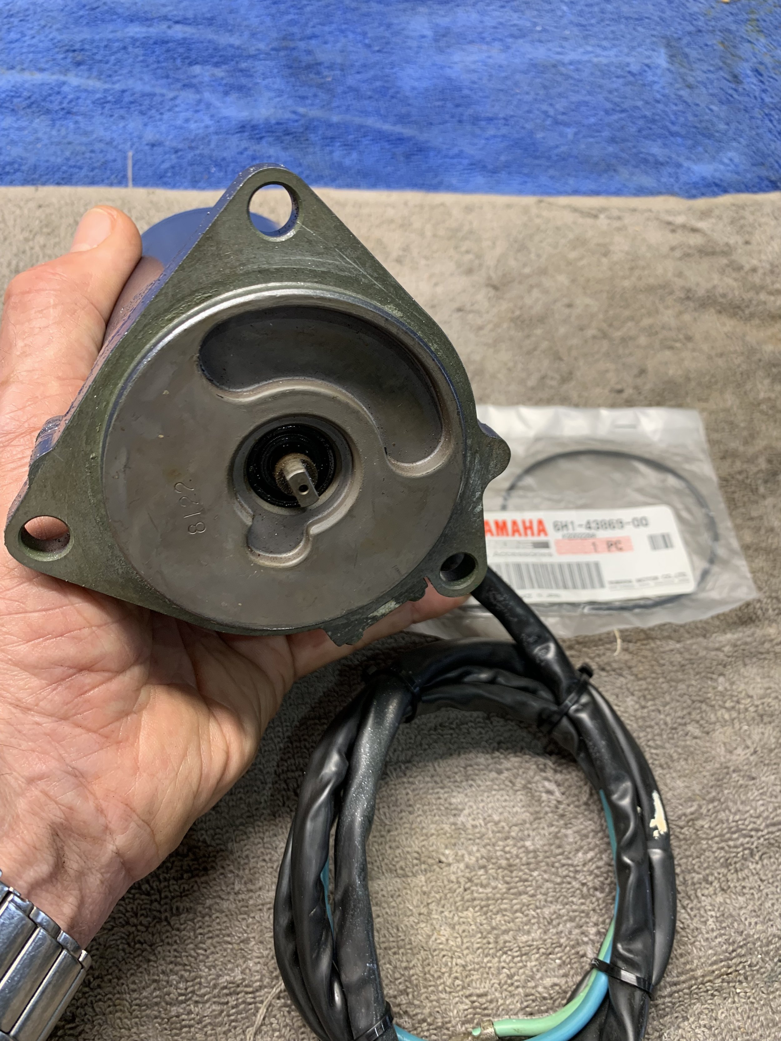 F-250 Trim Motor 1.jpeg