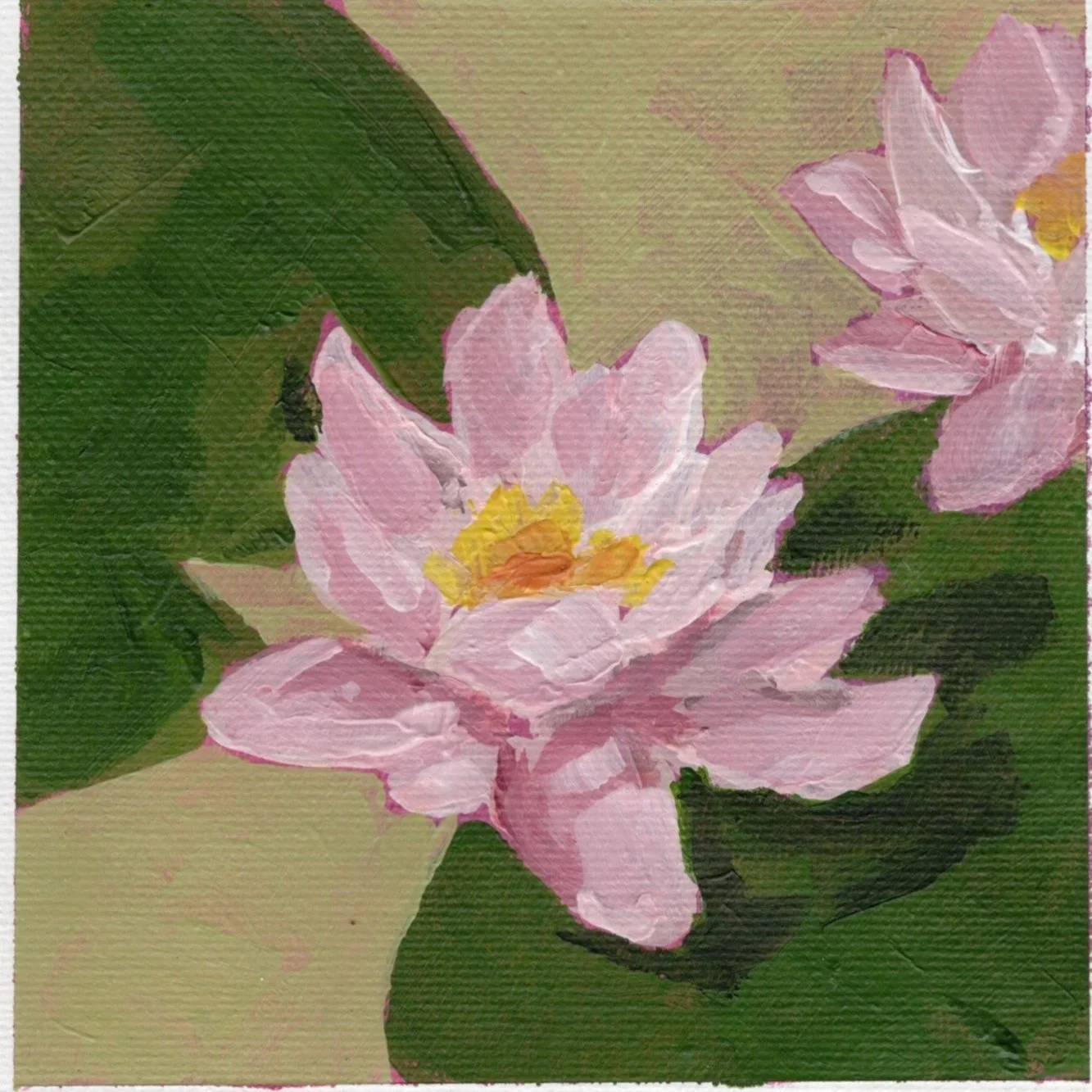 water+lily.jpg