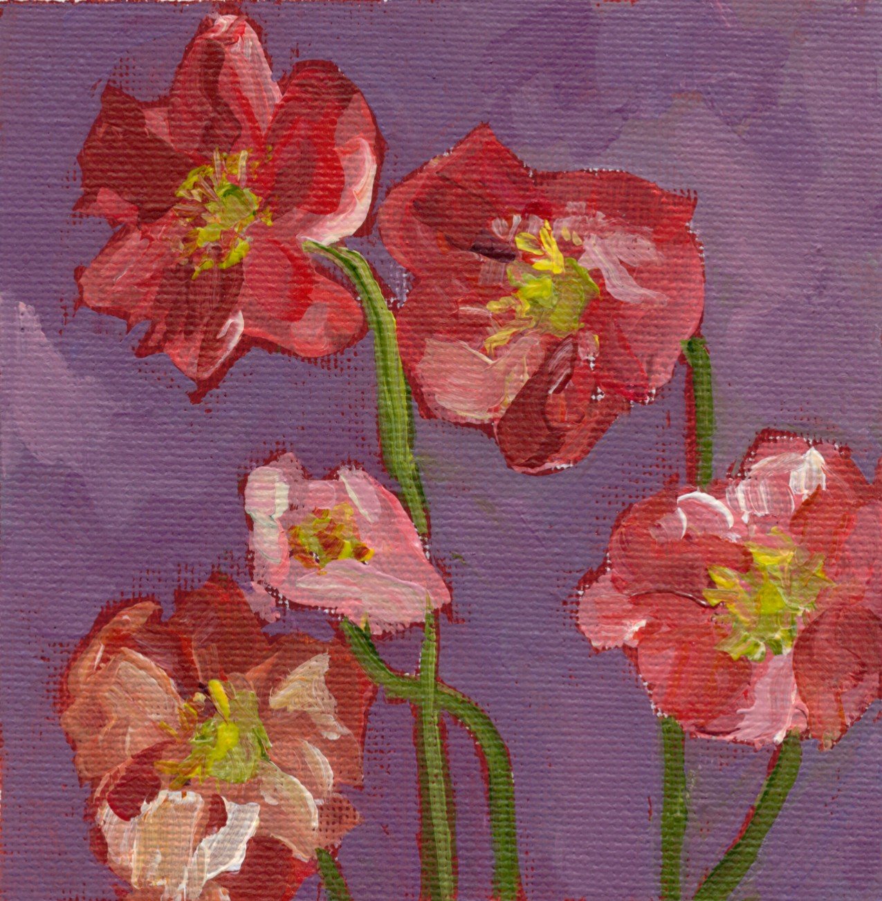 Flower study