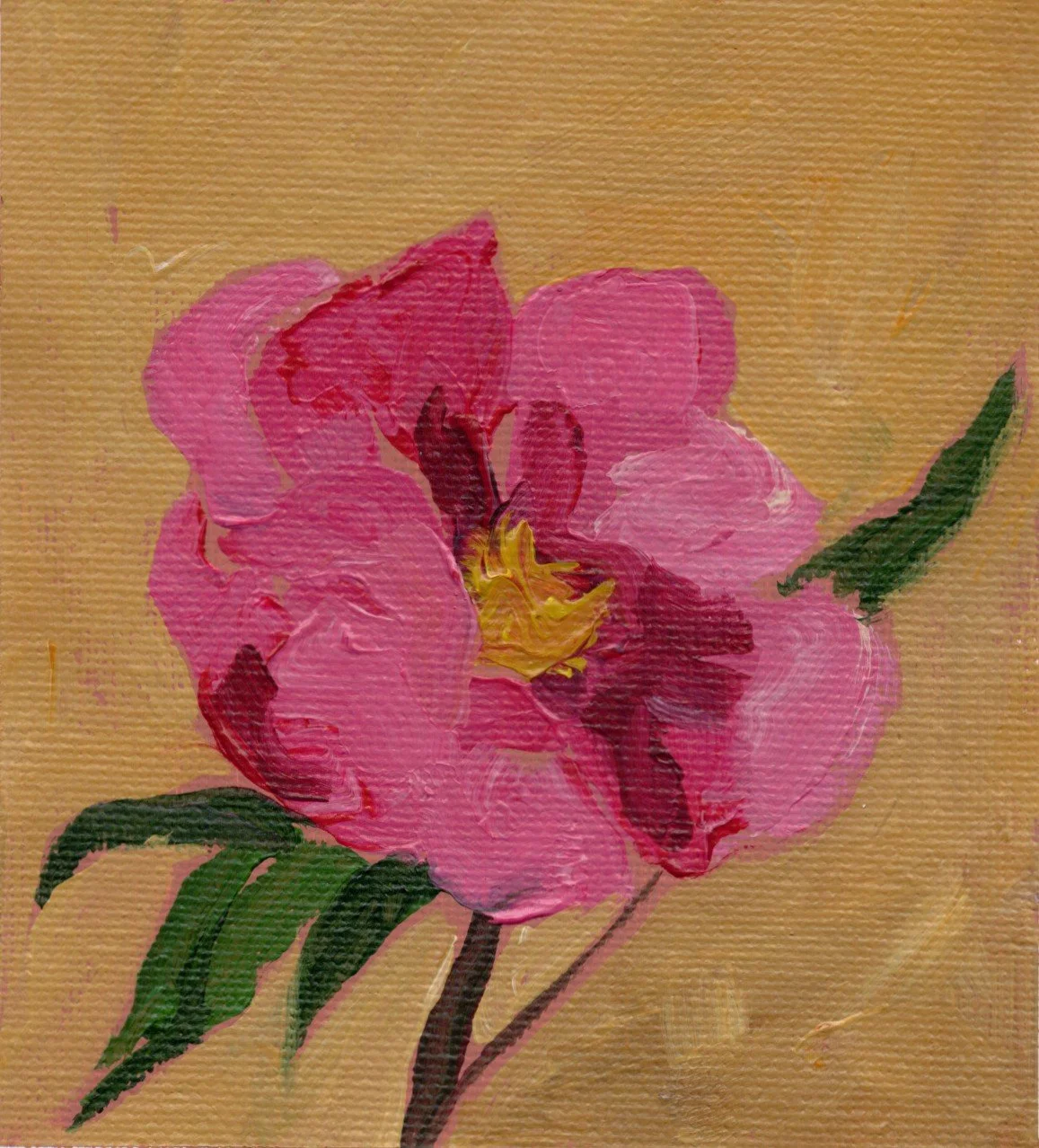 peony.jpg