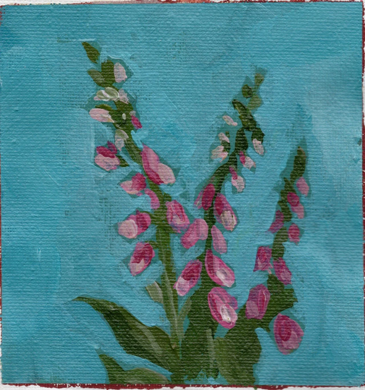 foxglove.jpg