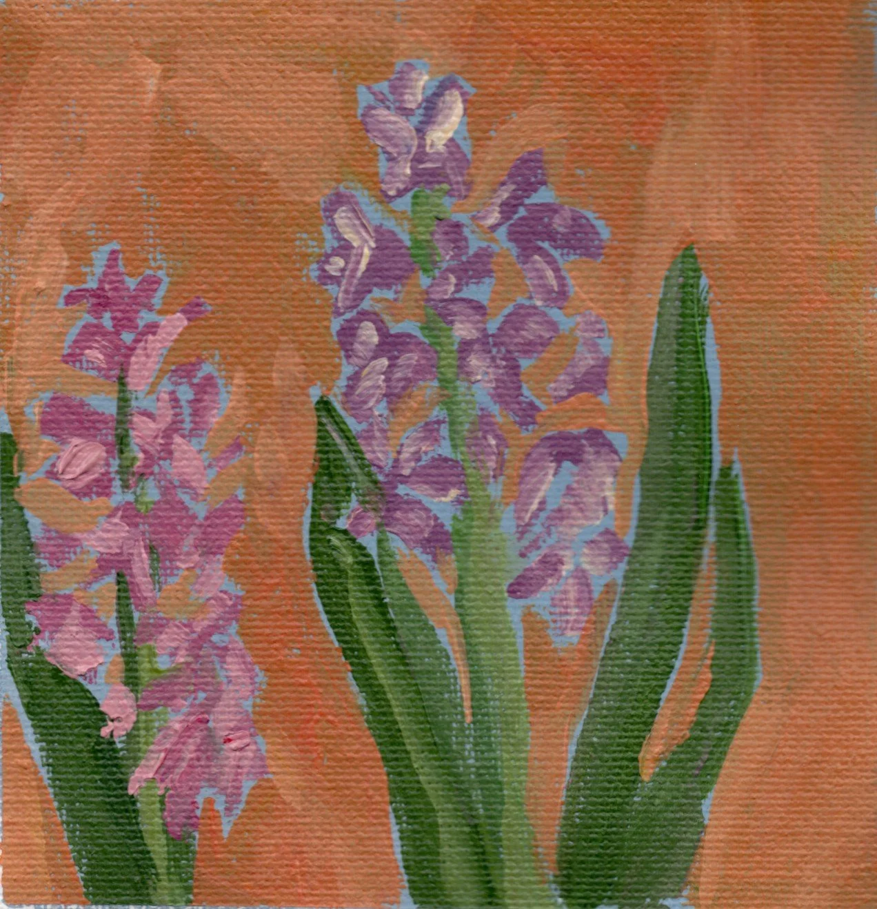 hyacinth.jpg