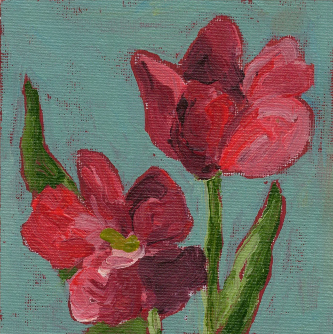 tulip.jpg