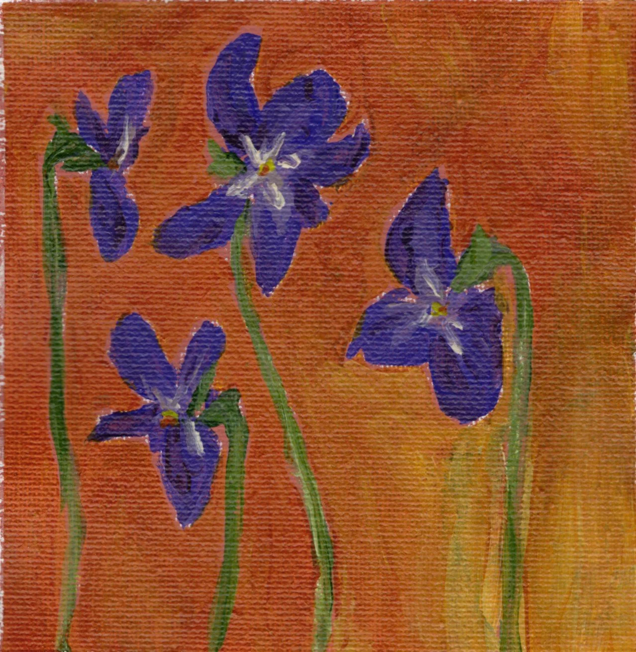 violet.jpg