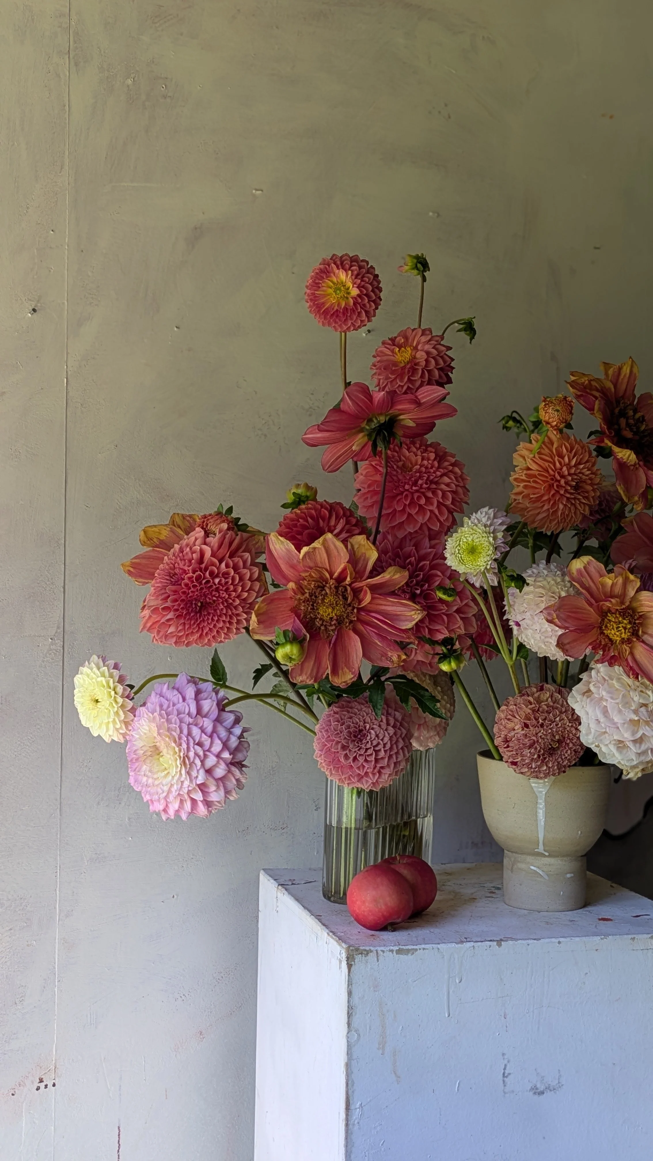 PXL_20260409_005808777.PORTRAIT.jpg (Copy) (Copy)