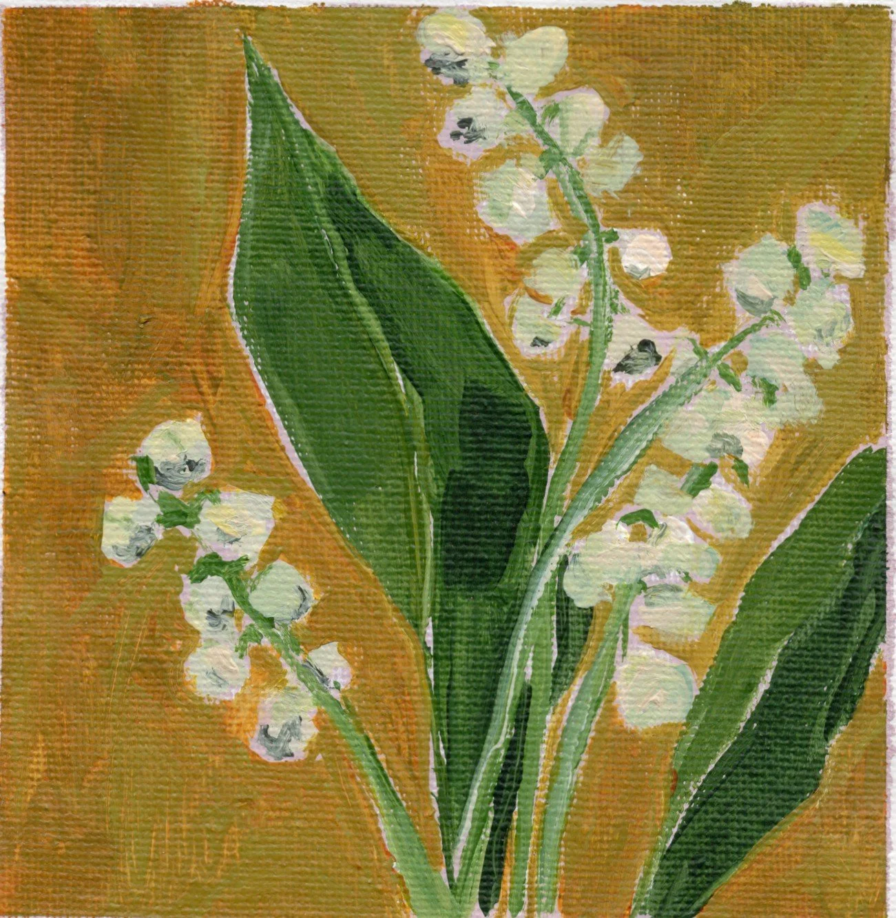 lilly of the valley.jpg