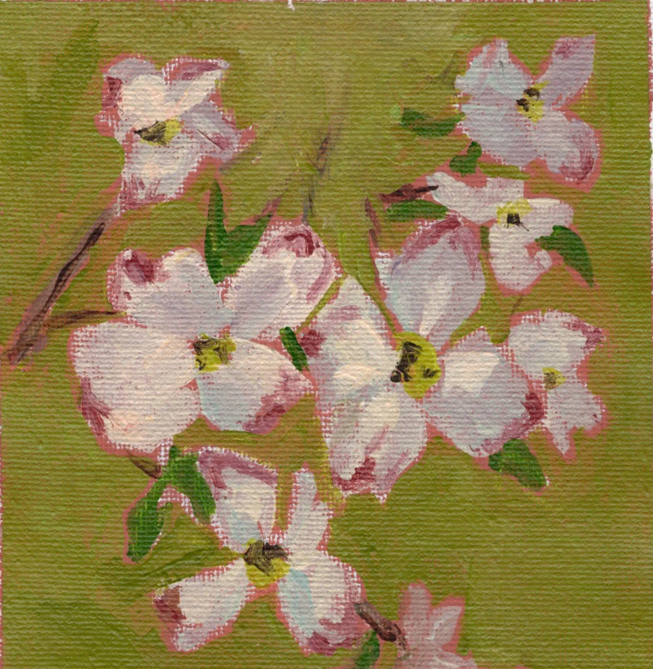 Dogwood.jpg