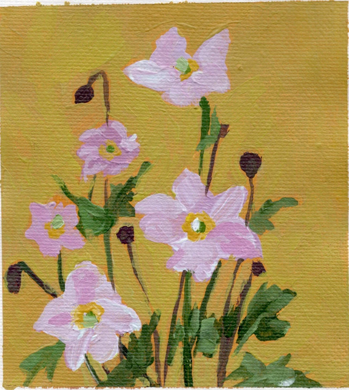 wind flower.jpg