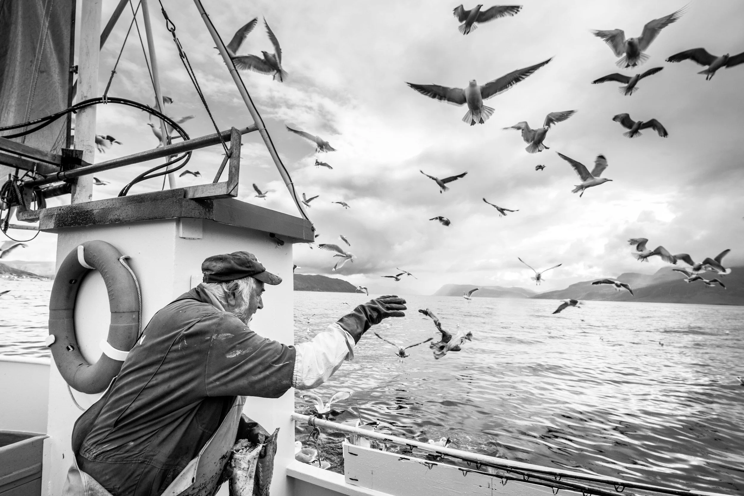 Dominic aboard his fishing boat, chumming the water while seagulls flying around him.