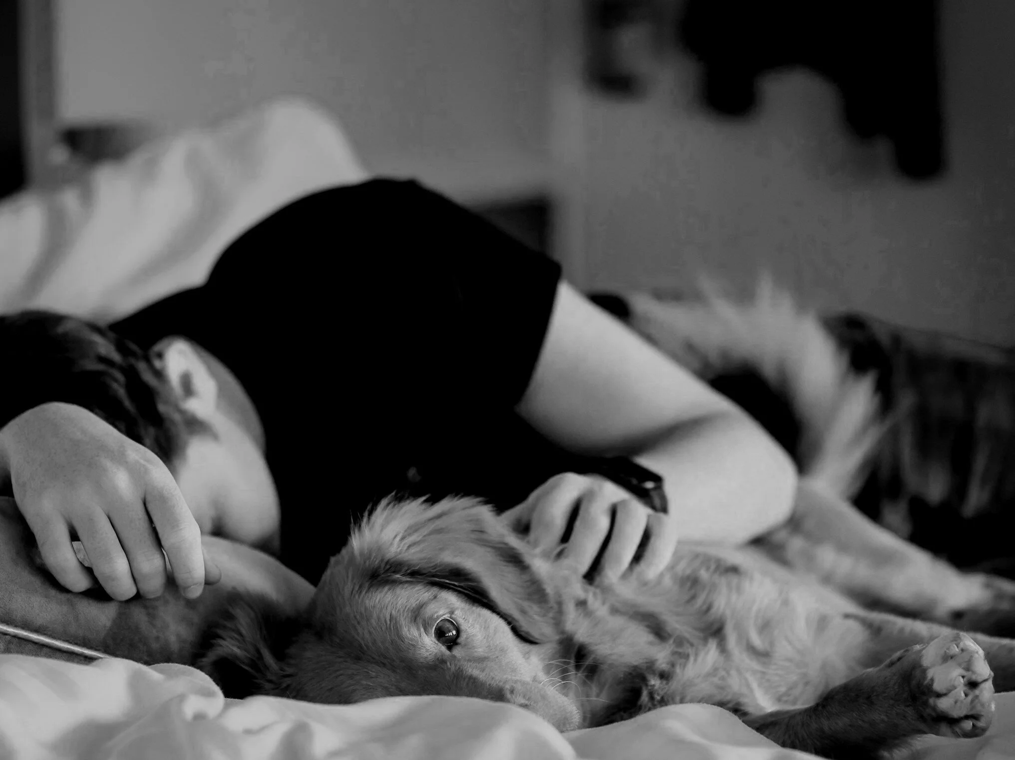 A person with a hand on a Siberian Husky dog lying on a bed, black and white photo.