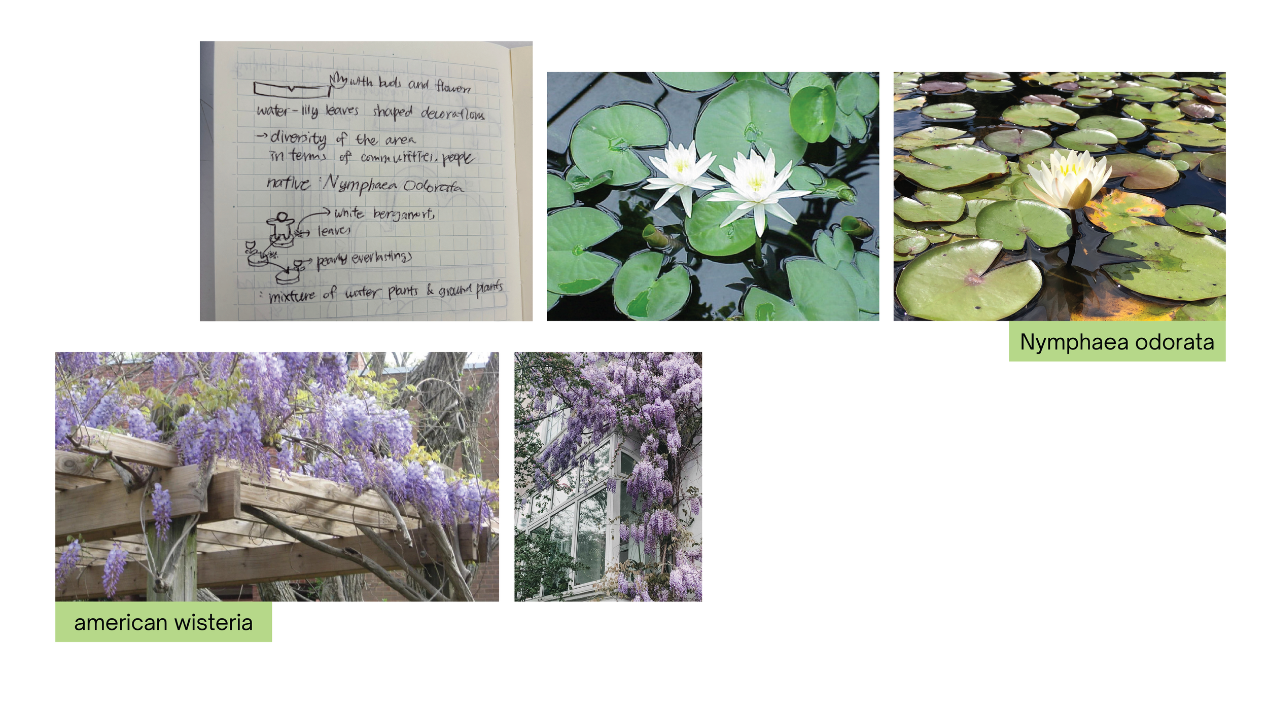Artboard 23.png