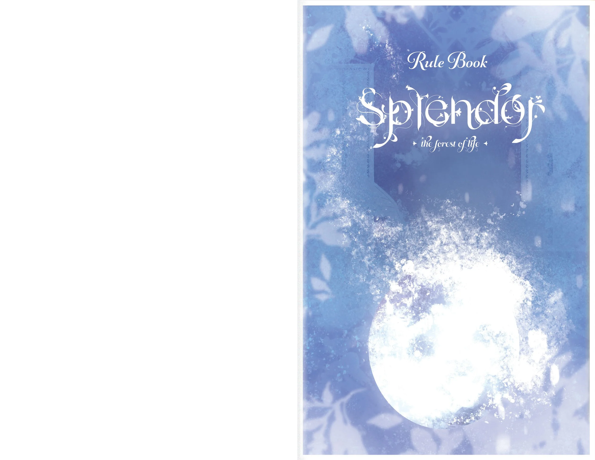 RuleBook-01.jpg
