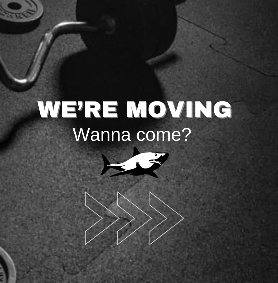 🦈 We’re Expanding! 🦈
As we get ready to move into our new home this spring, we’re opening the doors to more than just our members…
We’re looking for like minded, health professionals to join our community!
Are you a:
✔️