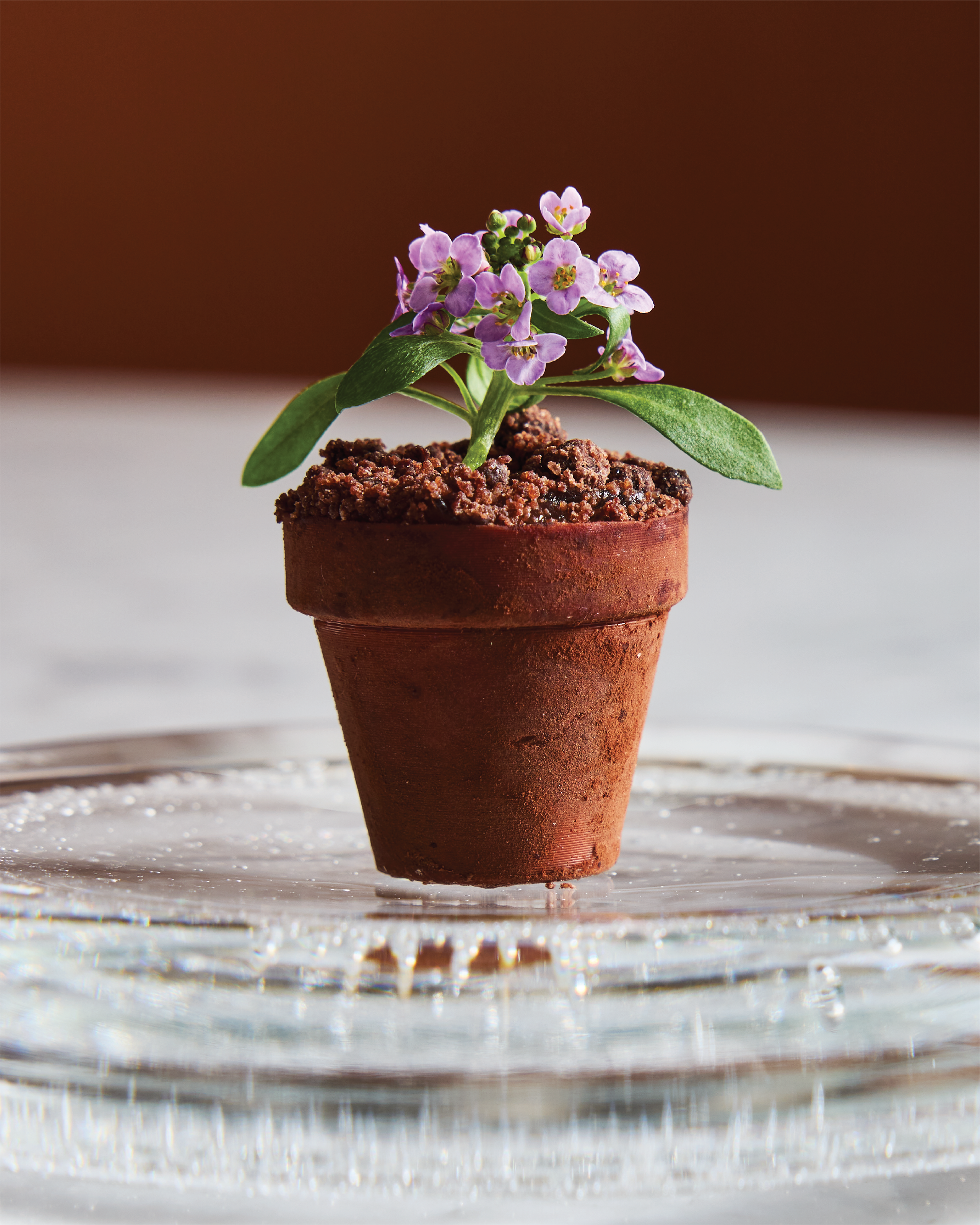 Restaurang-östermalm-blommor-kruka-dessert-choklad-kasper-kleish-kvarterskrog-karlaplan-vinbar-cocktailbar-italien-söndagsmiddag-söndagsöppet.png