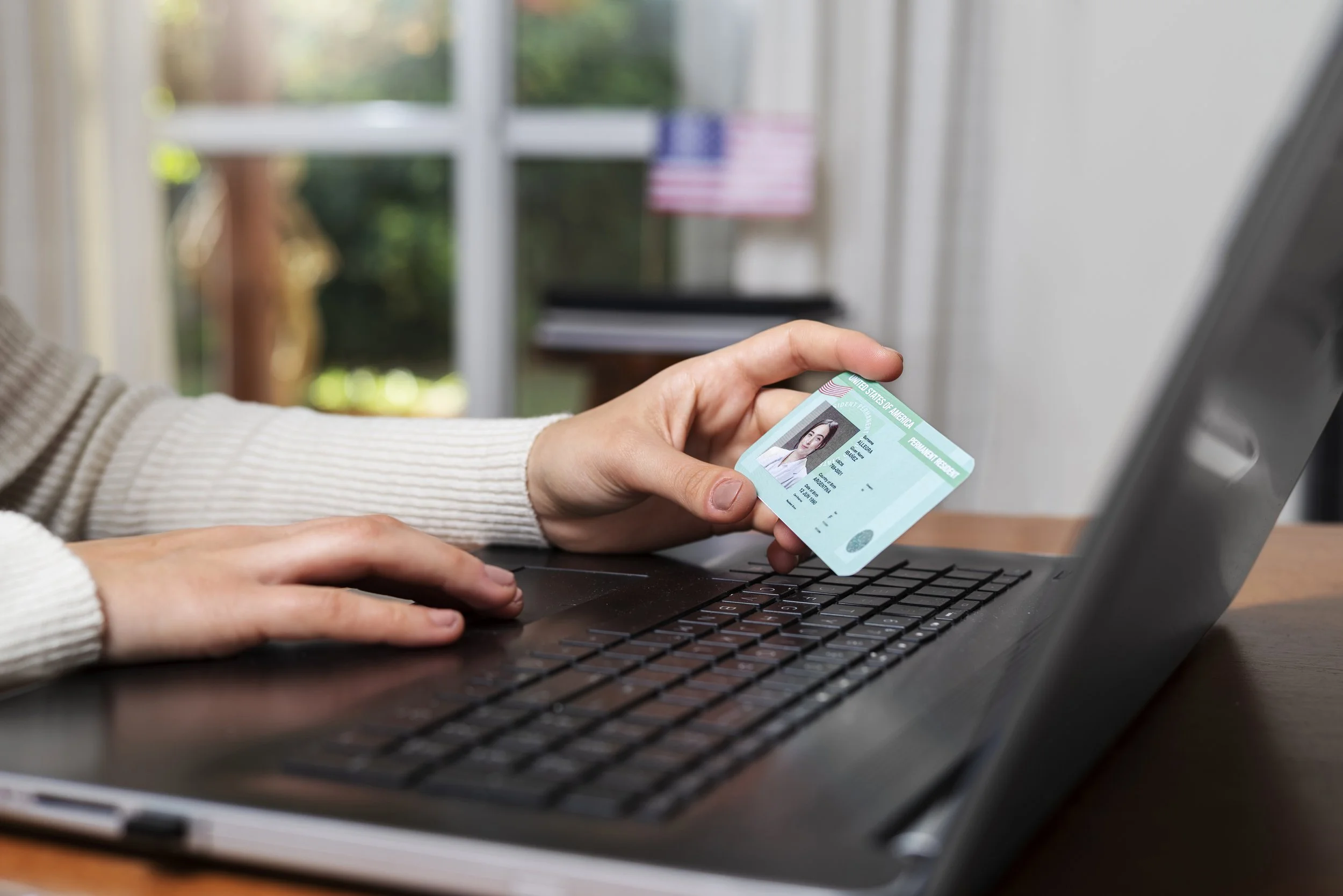 National Digital IDs: Convenience vs Risk