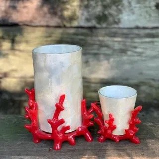 Red Coral Holder Collection