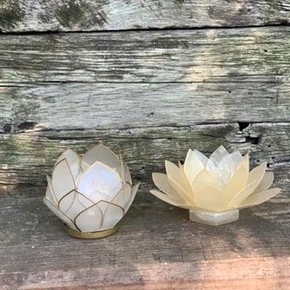 Capiz Shell Lotus