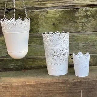 Lacy Luminaries