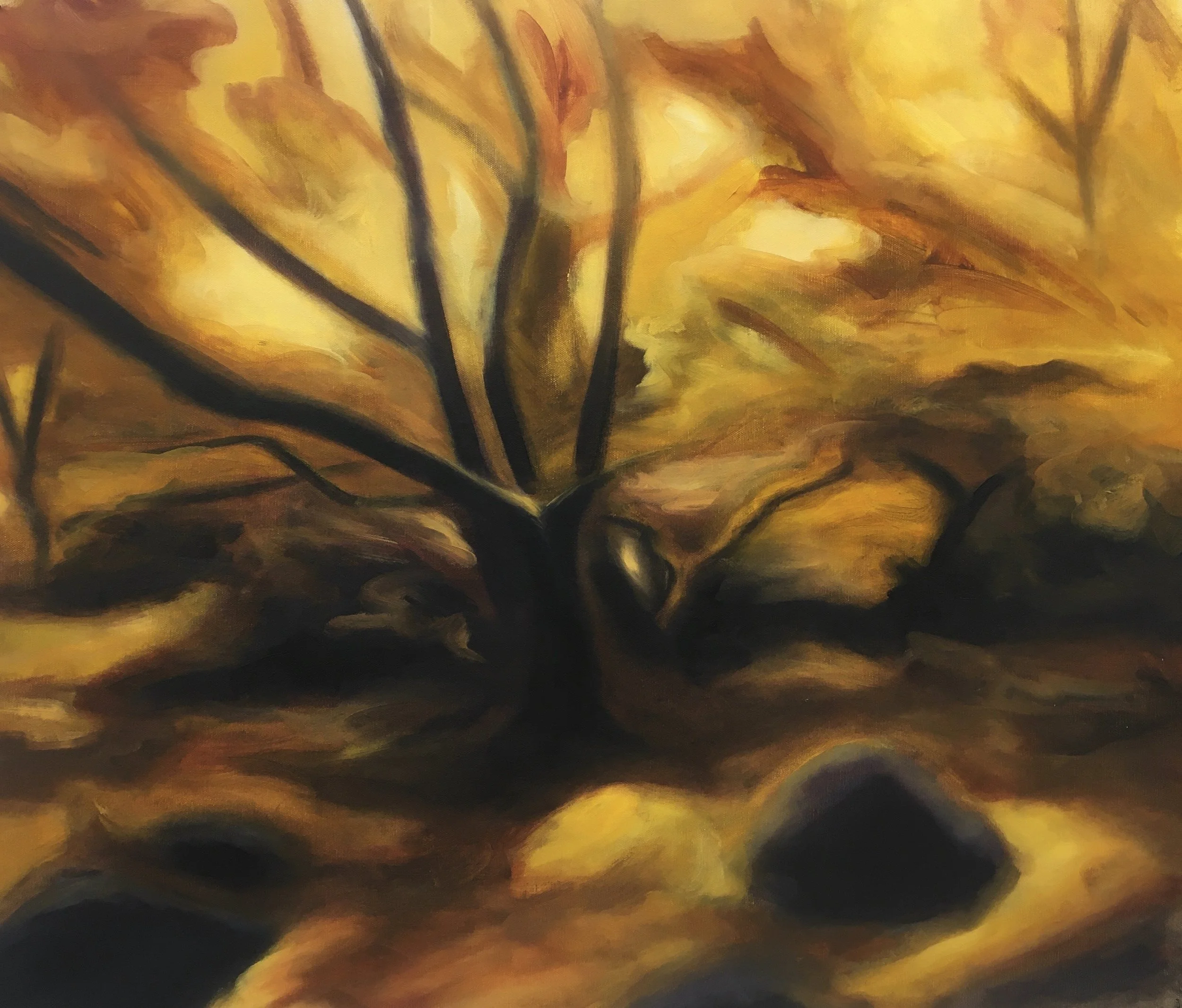 Warmth of Light