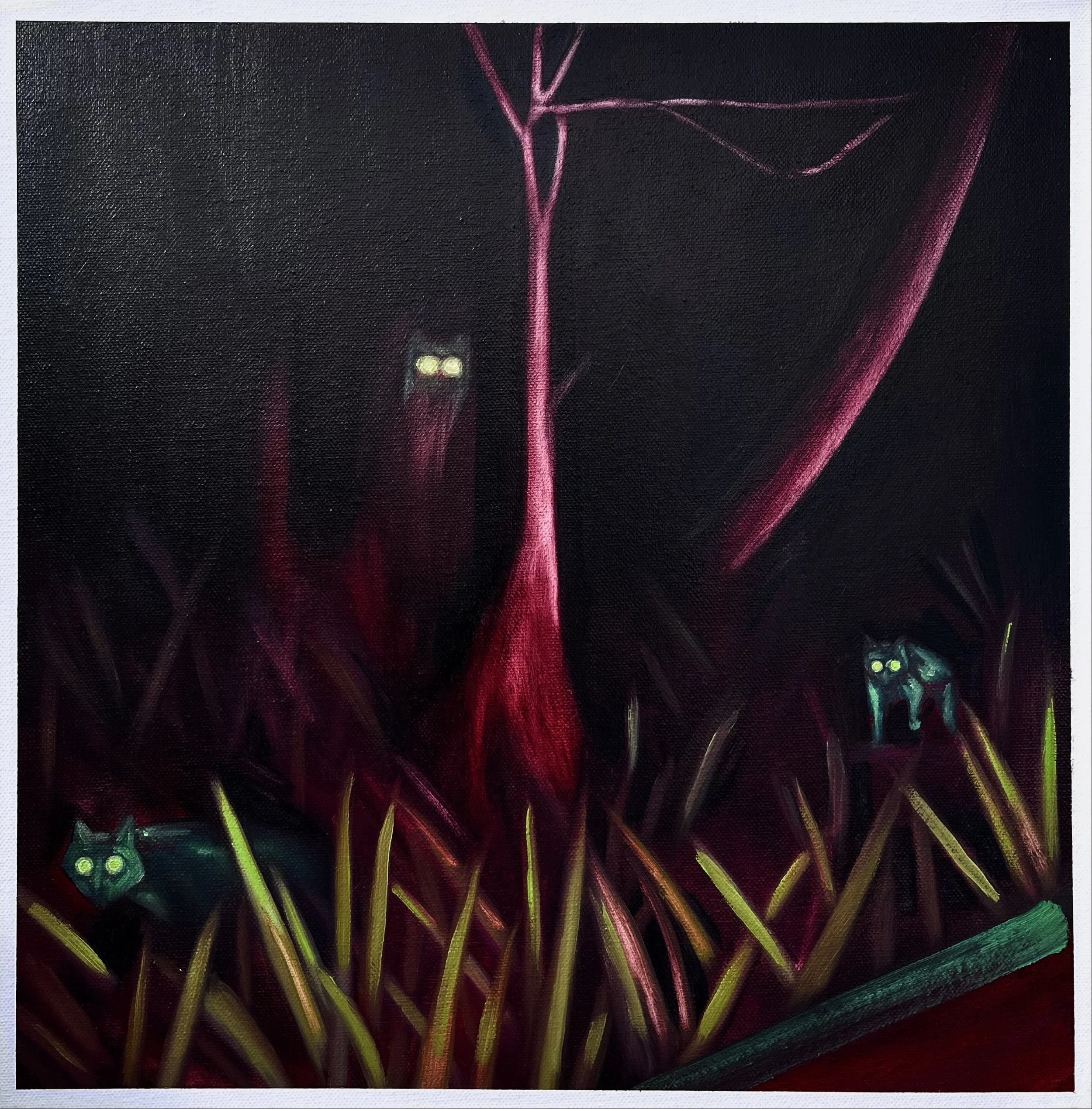Eyes Of Three Foxes