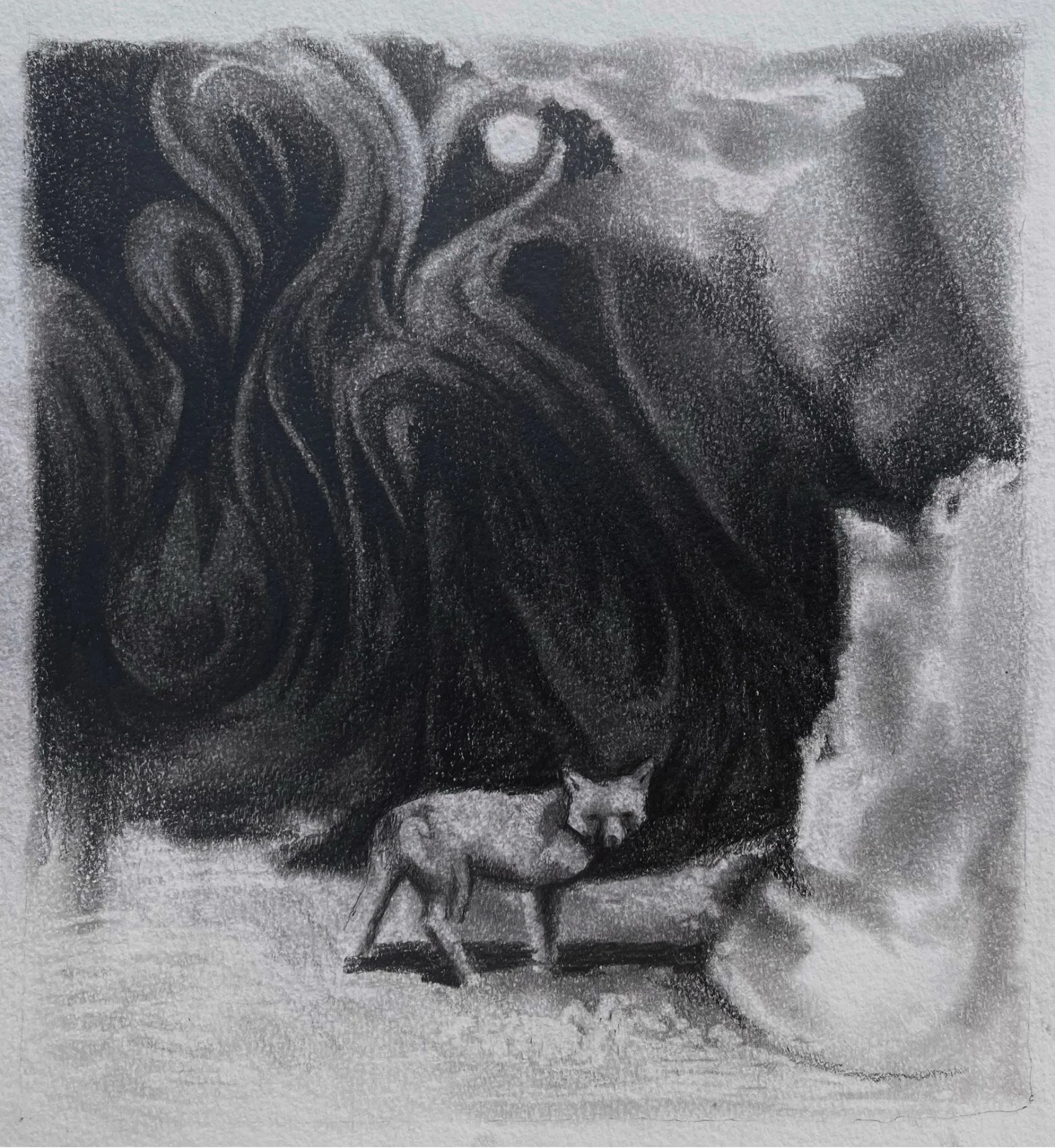 3A23A606-AEEF-43D0-8F49-53DDE0E66386 2.JPG