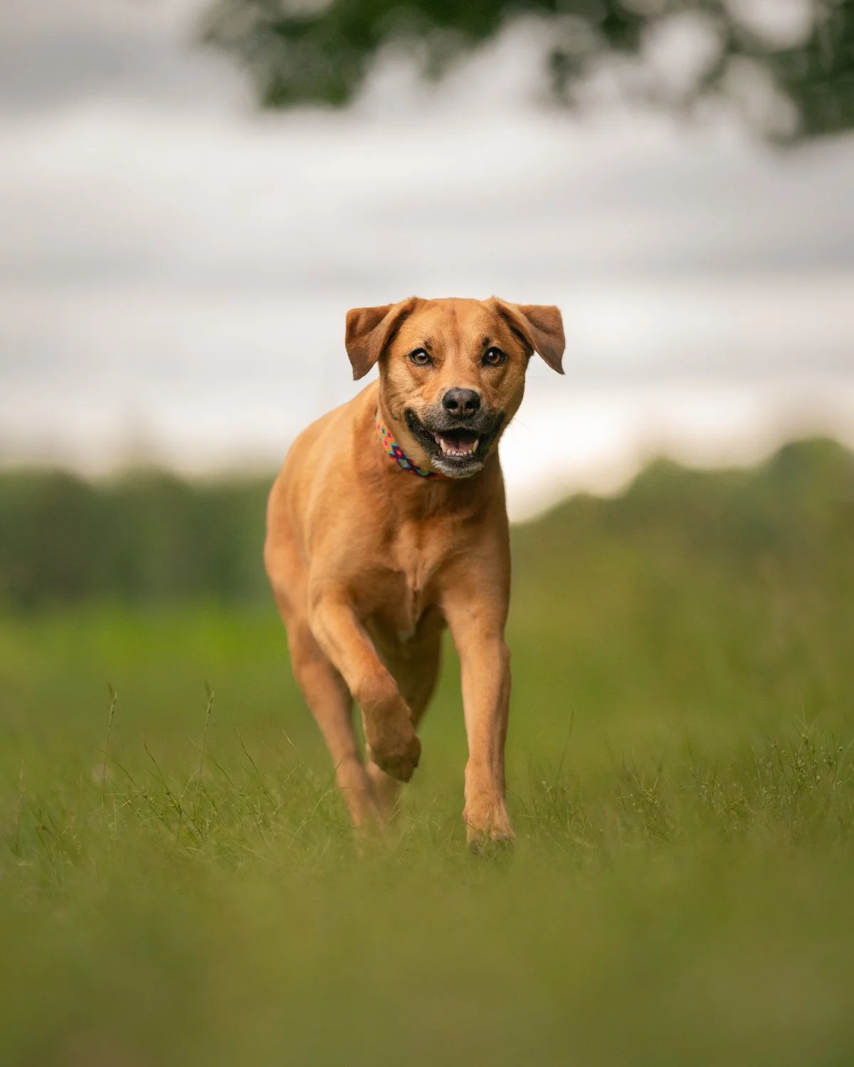 connecticut photographer.jpg