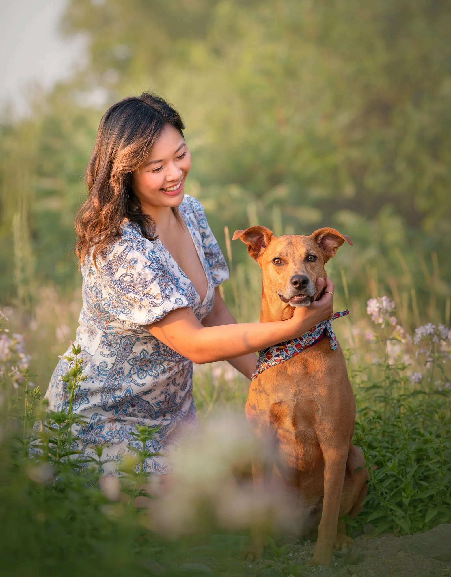 Professional Dog Photography Near Me.jpg