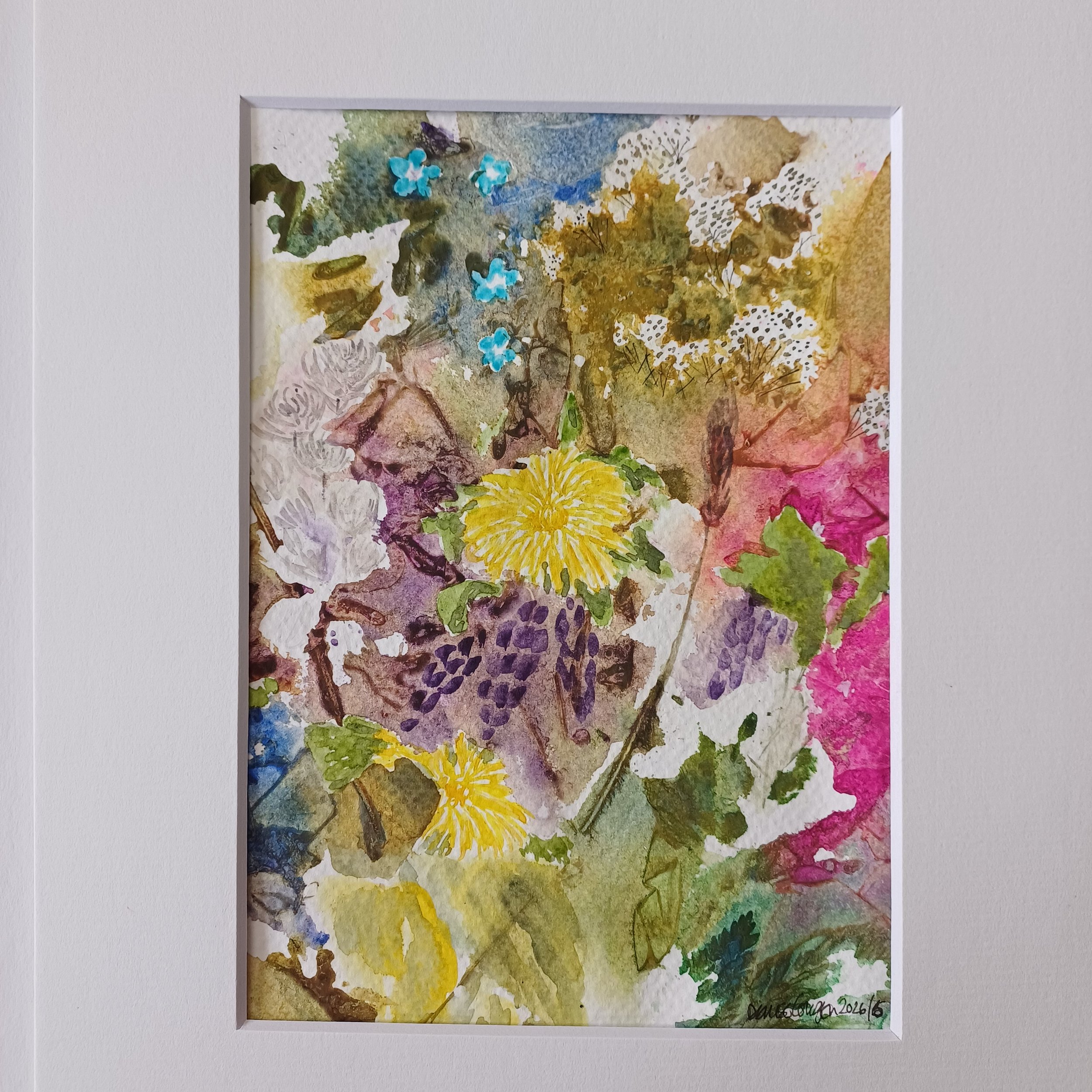 deep in the woodlands at Sherbourne
10x8" in mount.  £45.00 
full of meadow flowers, seeds and leaves, an intimate look at the flowers found at the edge of the woodland.