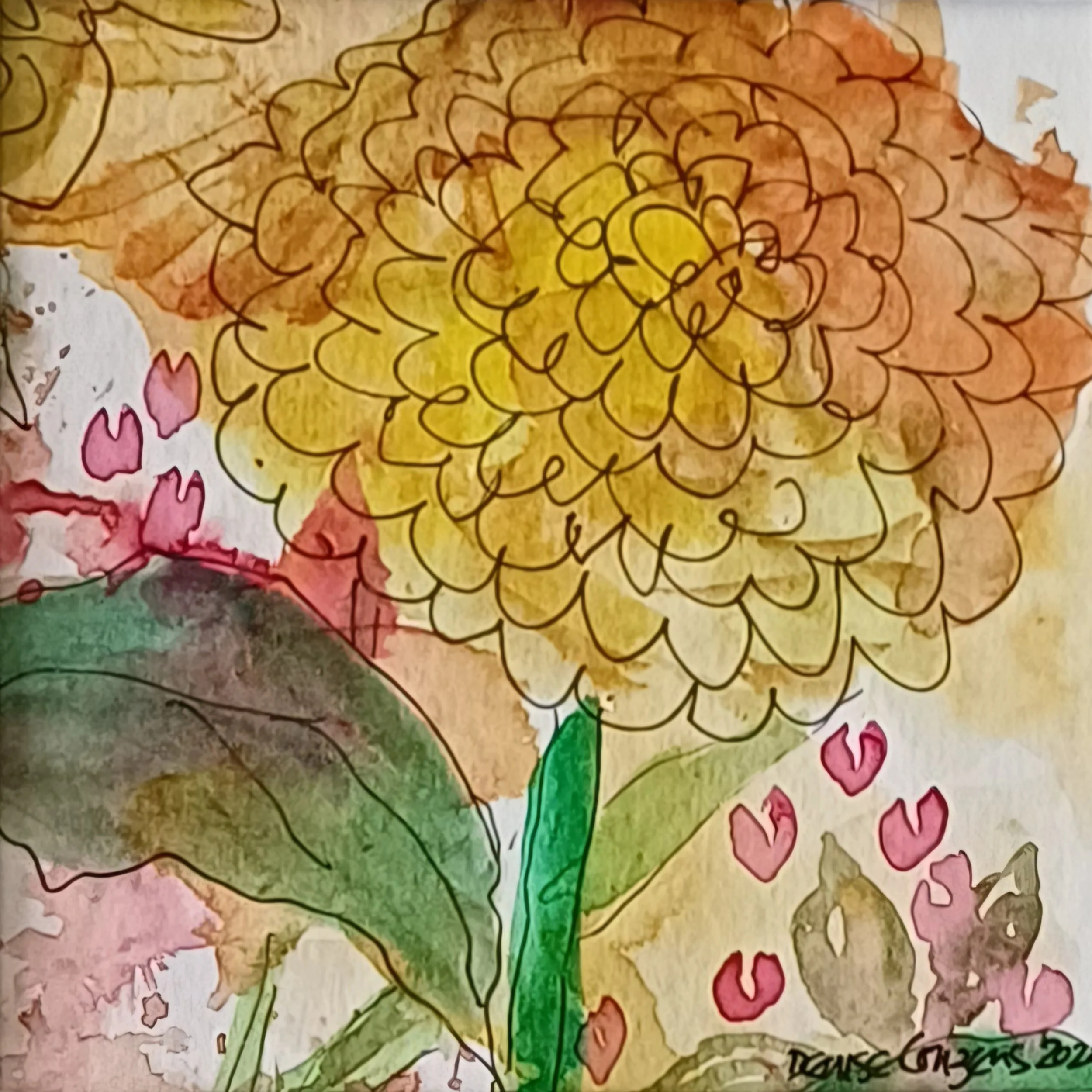 Chrysanthemum garden No.2
5x5" watercolour, ink and pen
2nd of set £40.00 for set