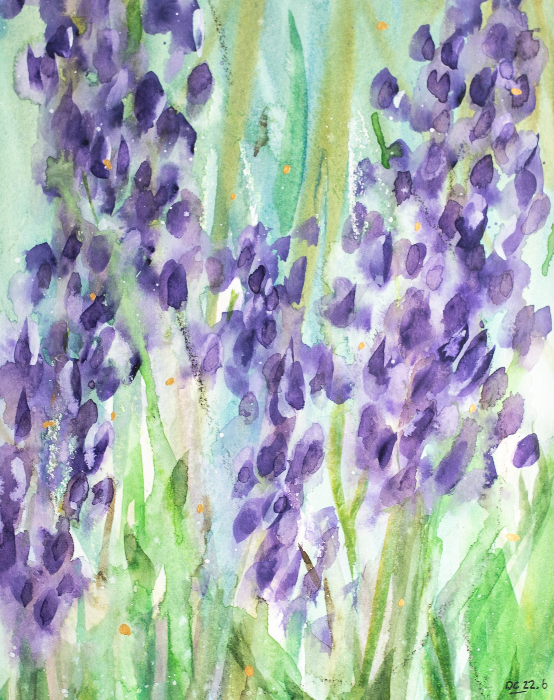 Summer rain - lupins 14 x 11" in mount
£70.00+ postage (UK only)
LIMITED EDITION prints available, various sizes, please use contact form for more details