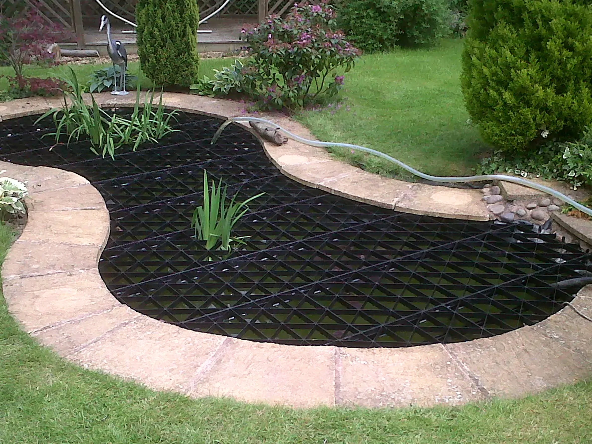 A backyard pond with a black grid lining, surrounded by stone paving, grass, bushes, and plants, with a garden hose on the edge.