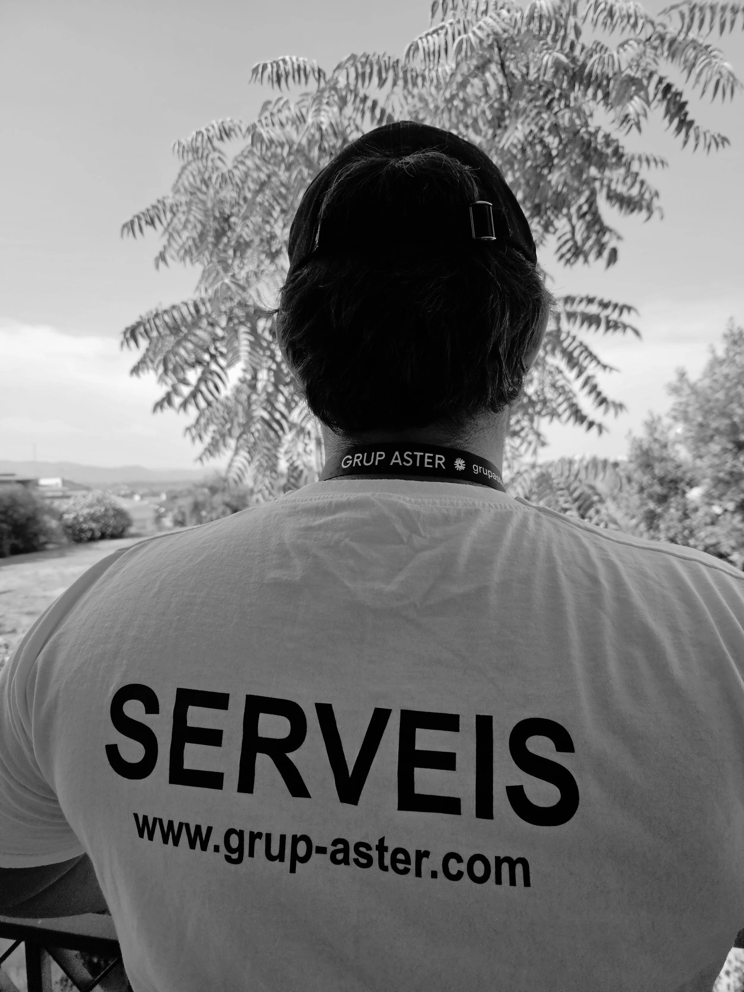 SERVEIS GRUP ASTER