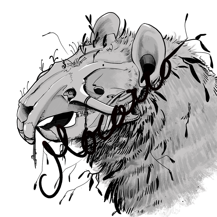 rat skull 2.png