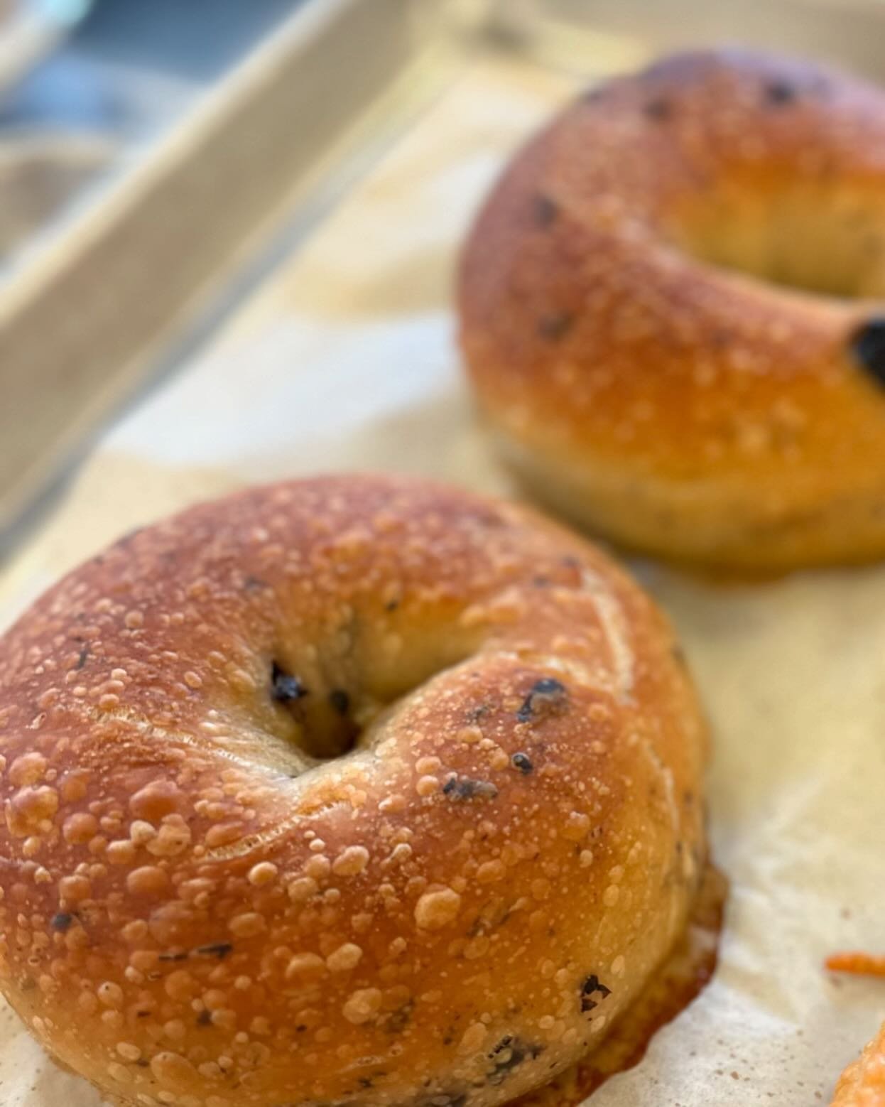 Kalamata bagels coming in hot.  Pairs perfectly with our labneh.  Preorders are live at mermaidkitchenmadison.com