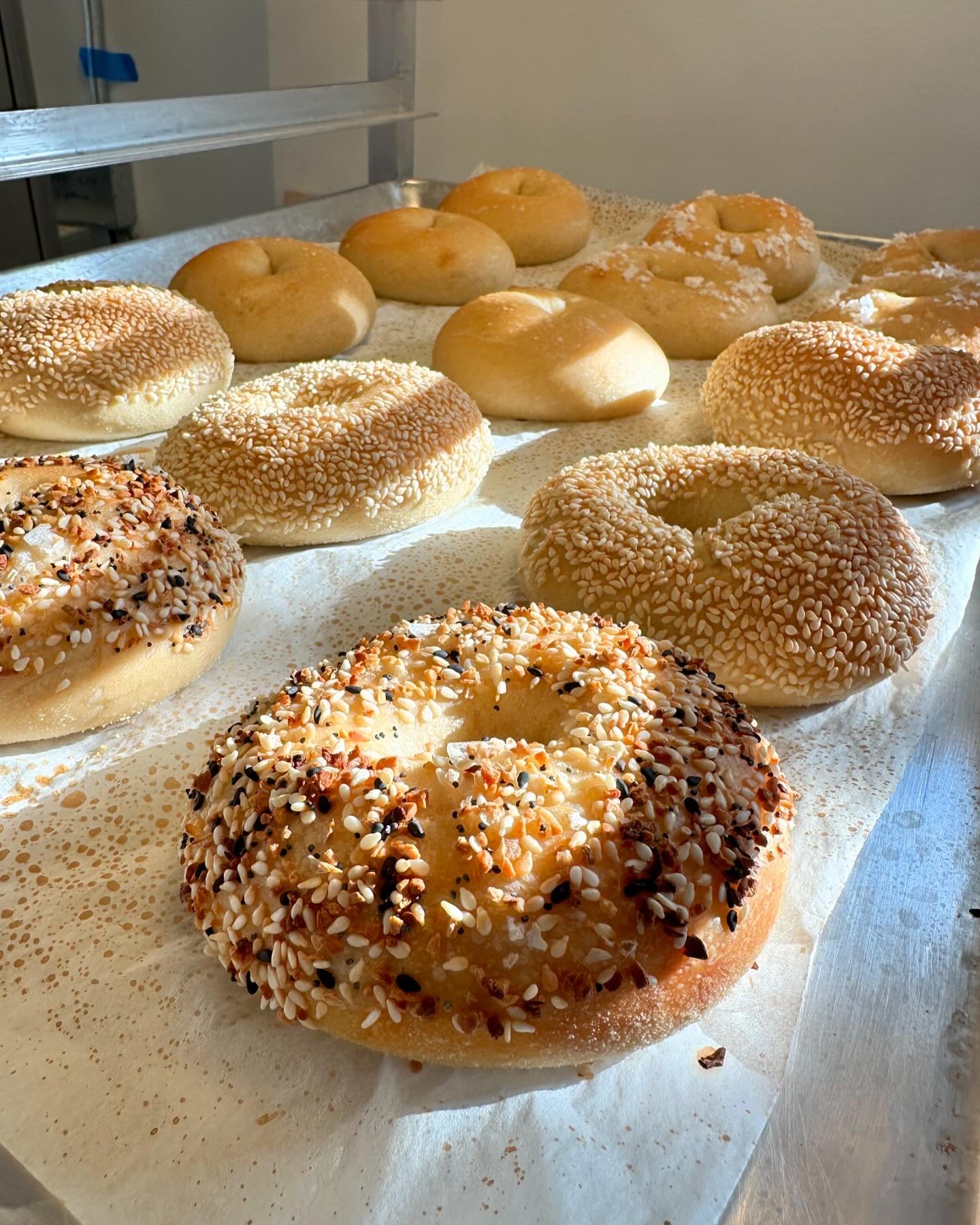 Pretty.  We do get the good sunshine in our kitchen on those sweet bagel babies.  Preorders are live at mermaidkitchenmadison.com