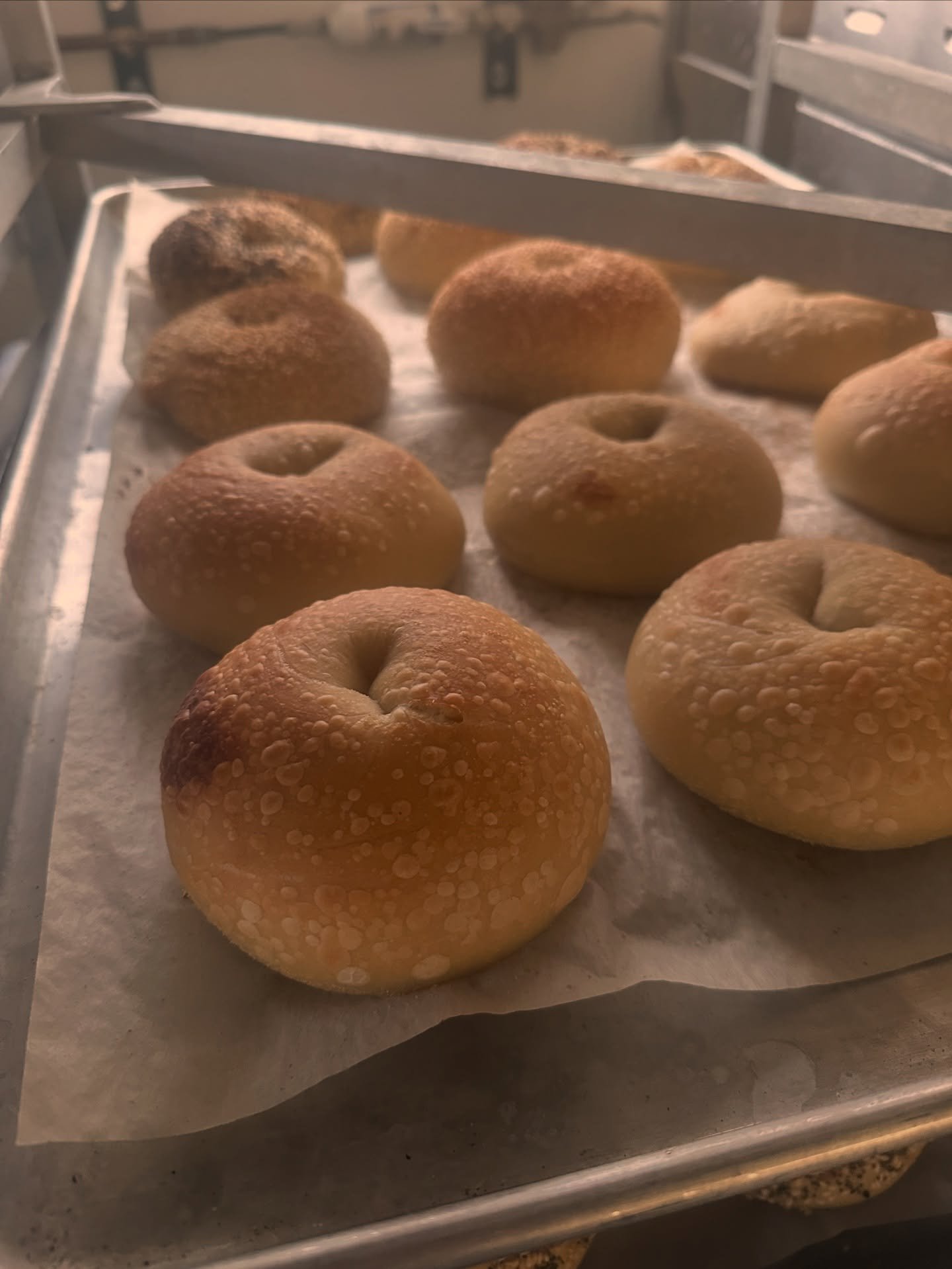 Hi Mermaidland!  The Sun Prairie Indoor Farmer&rsquo;s Market has been cancelled tomorrow in anticipation of an incoming snow bonanza.  We are offering our Saturday preorder customers the option of picking up freshly baked bagels on Sunday instead of