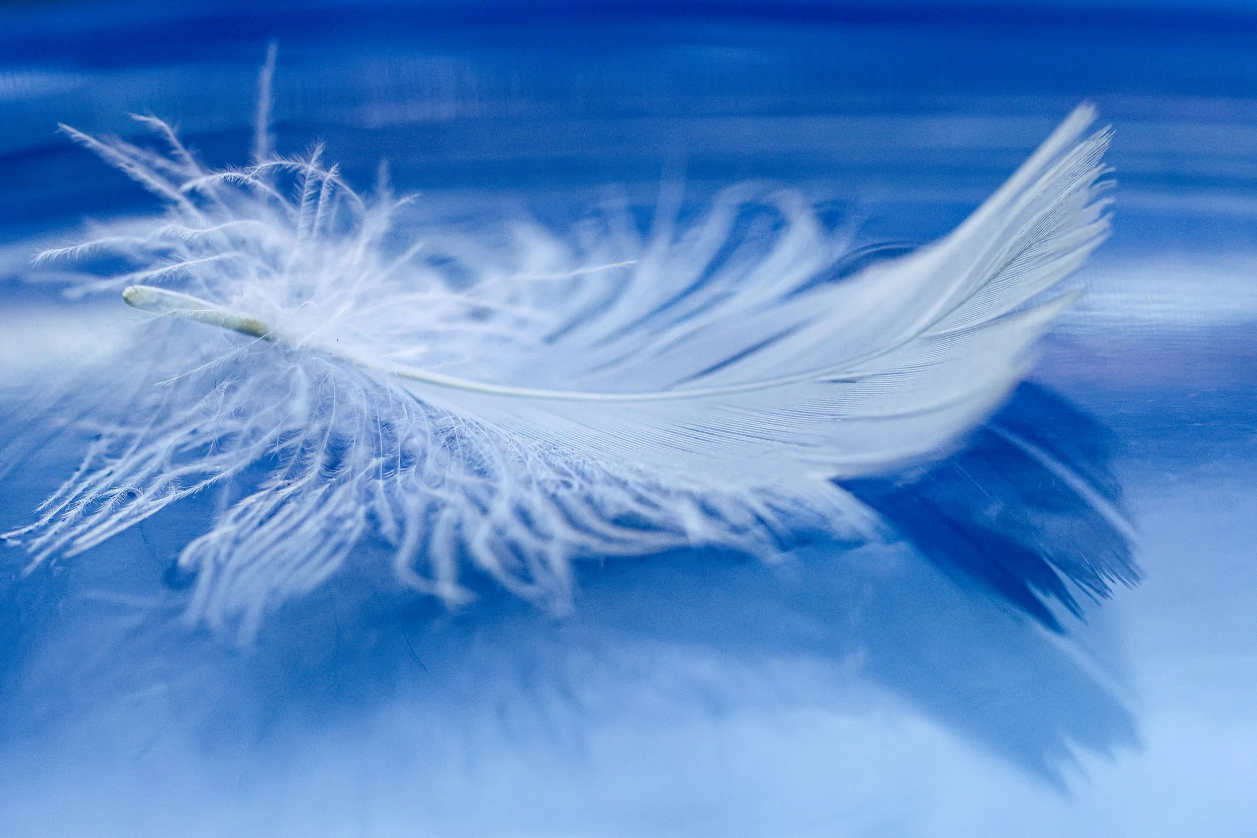 FRAGILE WORLDS